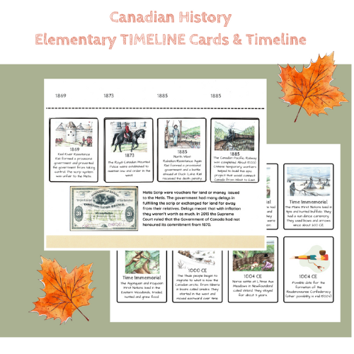 sq Timeline Cards.png