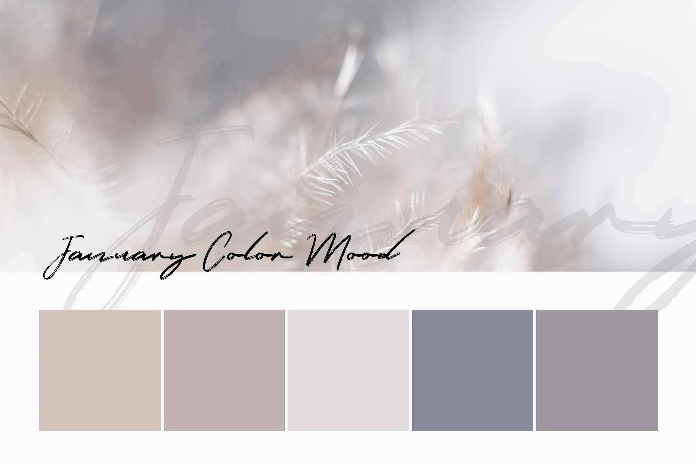 january_color_mood.jpg