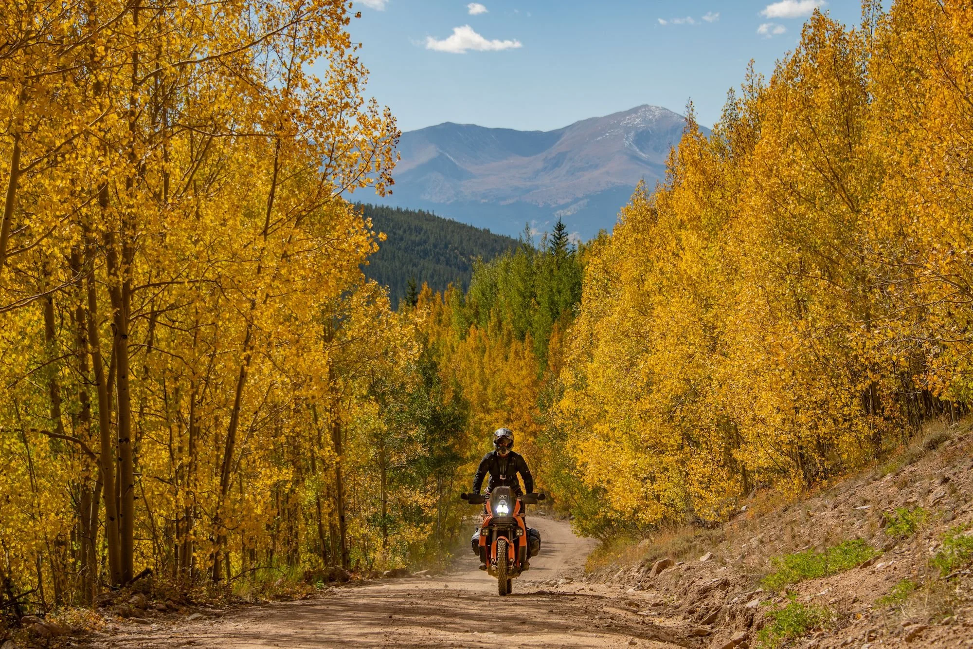 RoadRUNNER: Getting High in Colorado