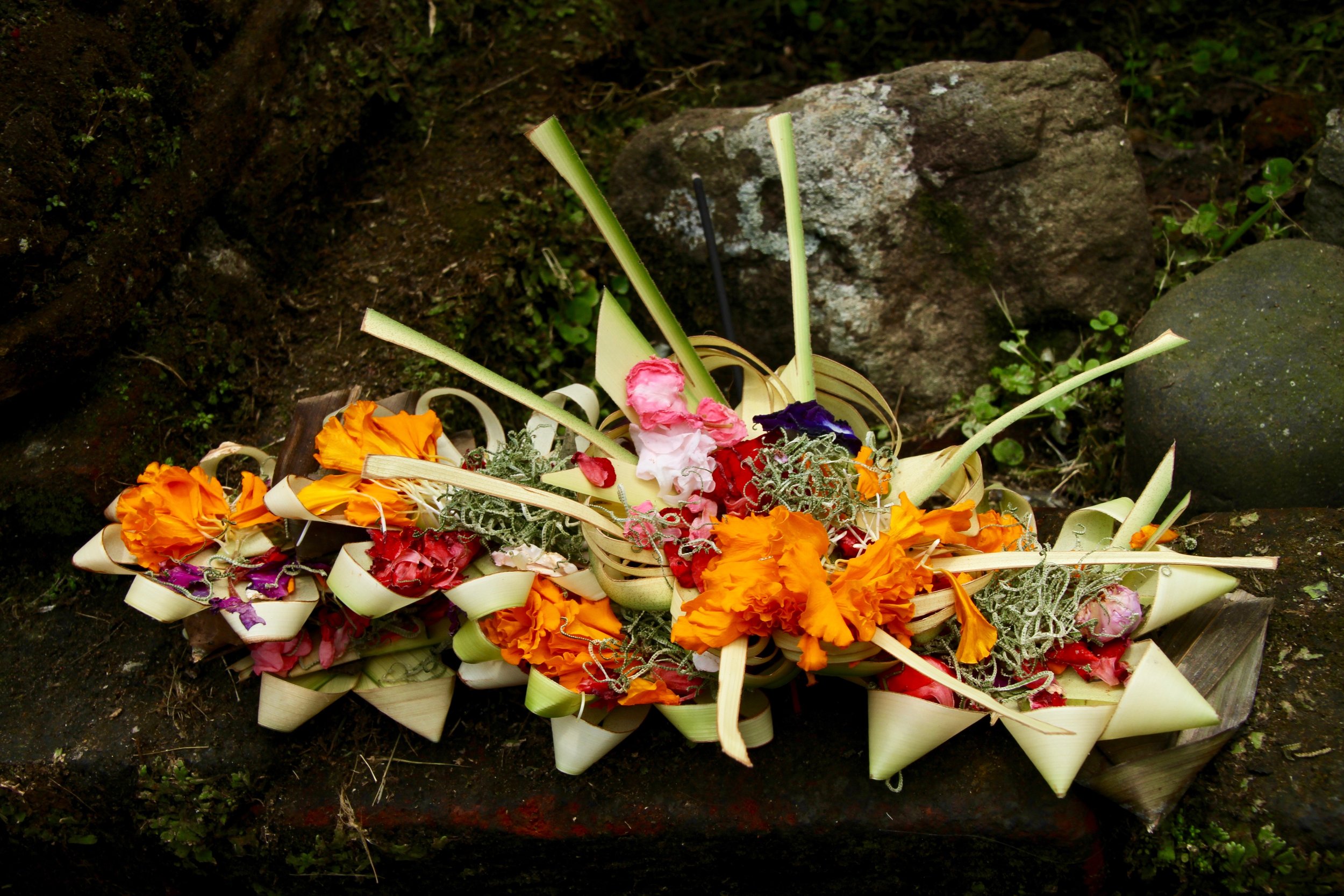 balinese offering.jpg