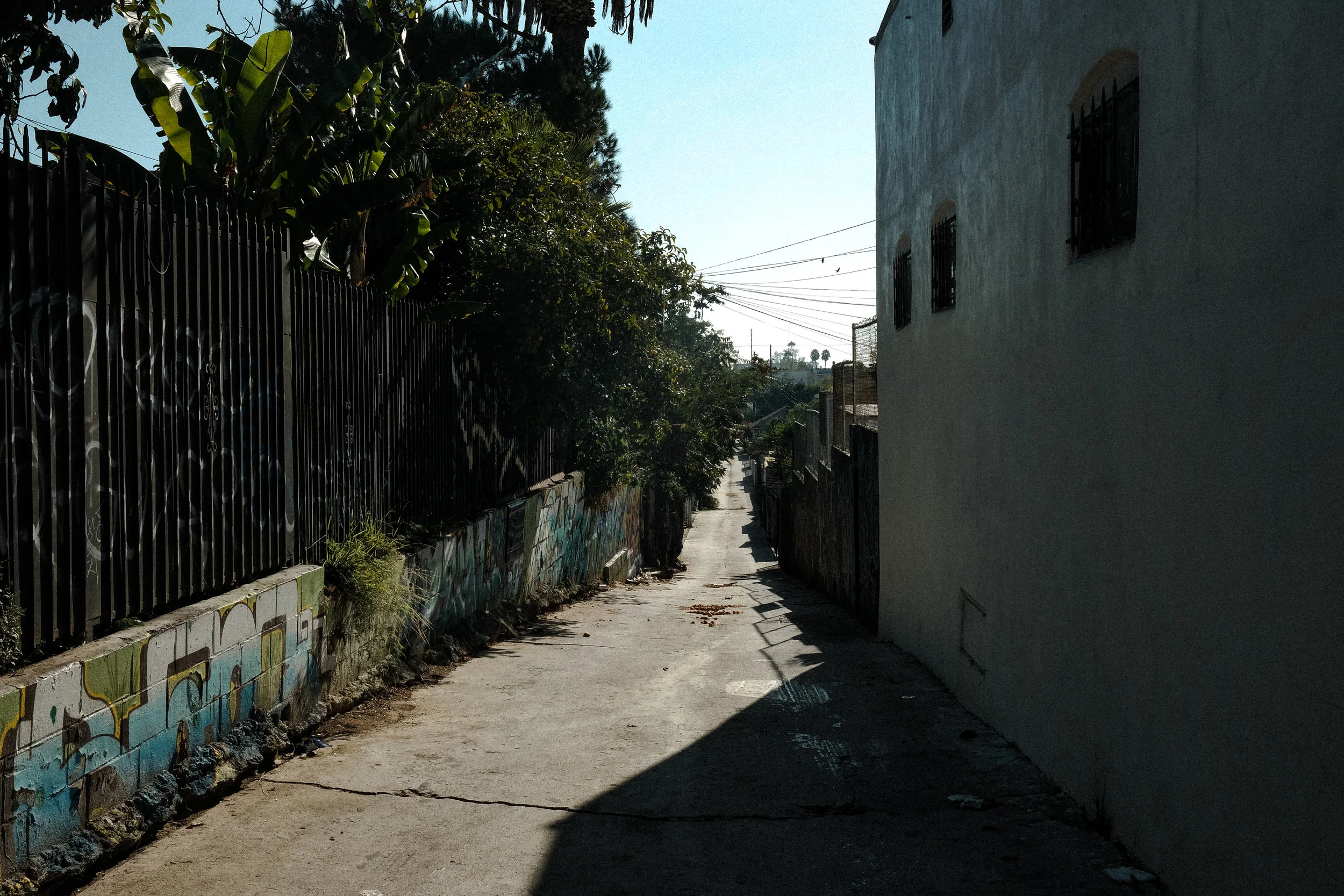 DSCF2003-2.jpg