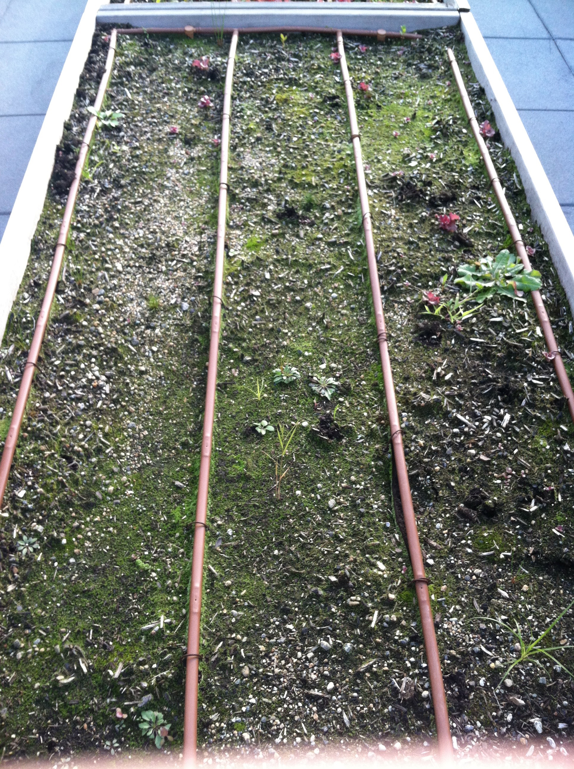 Landscape design installations