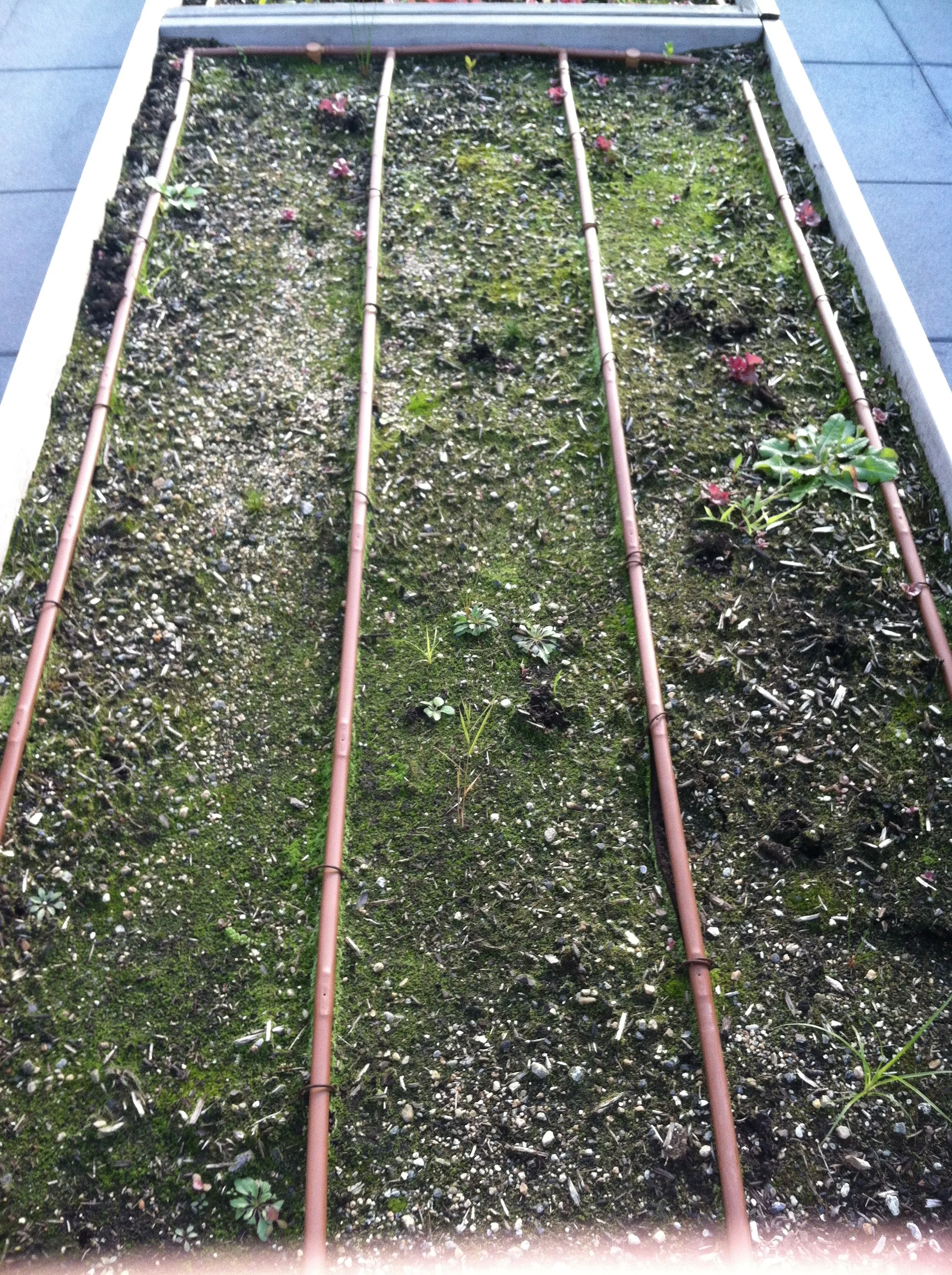 Landscape design installations
