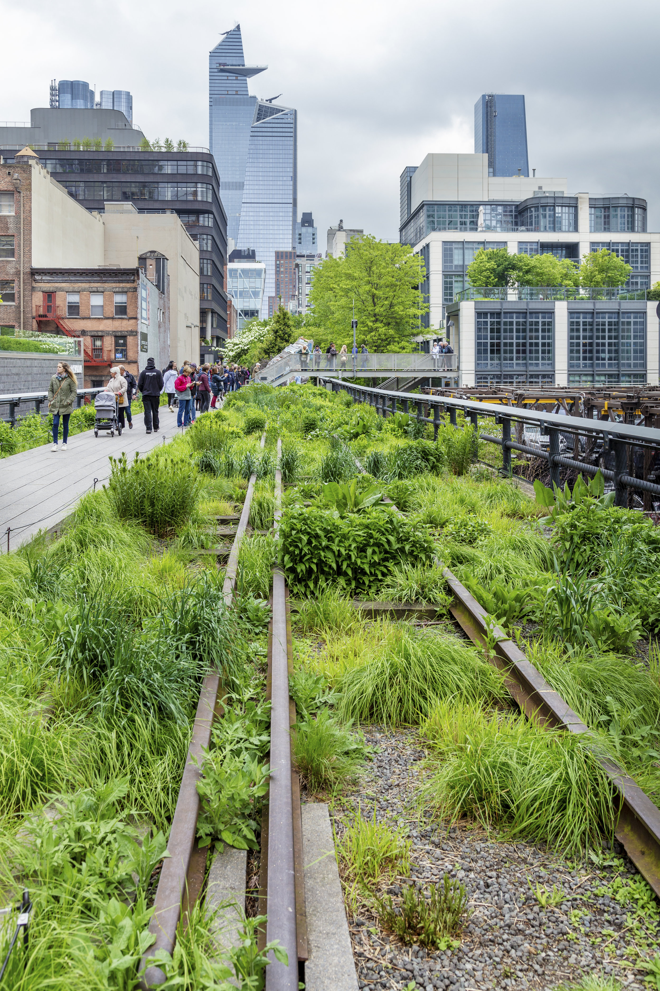 High Line Tracks and Flora_3469.jpg