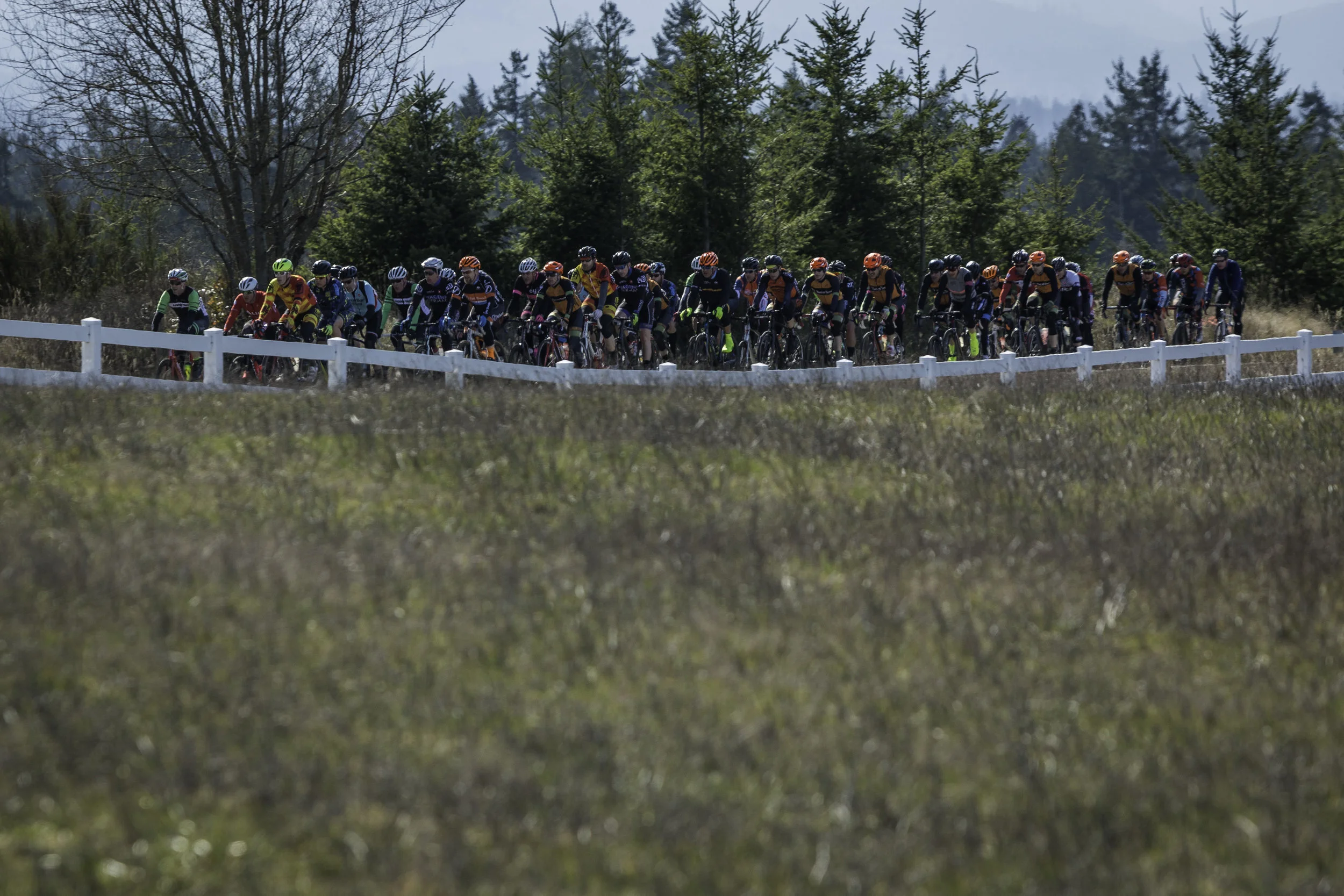 Tour de Dung
