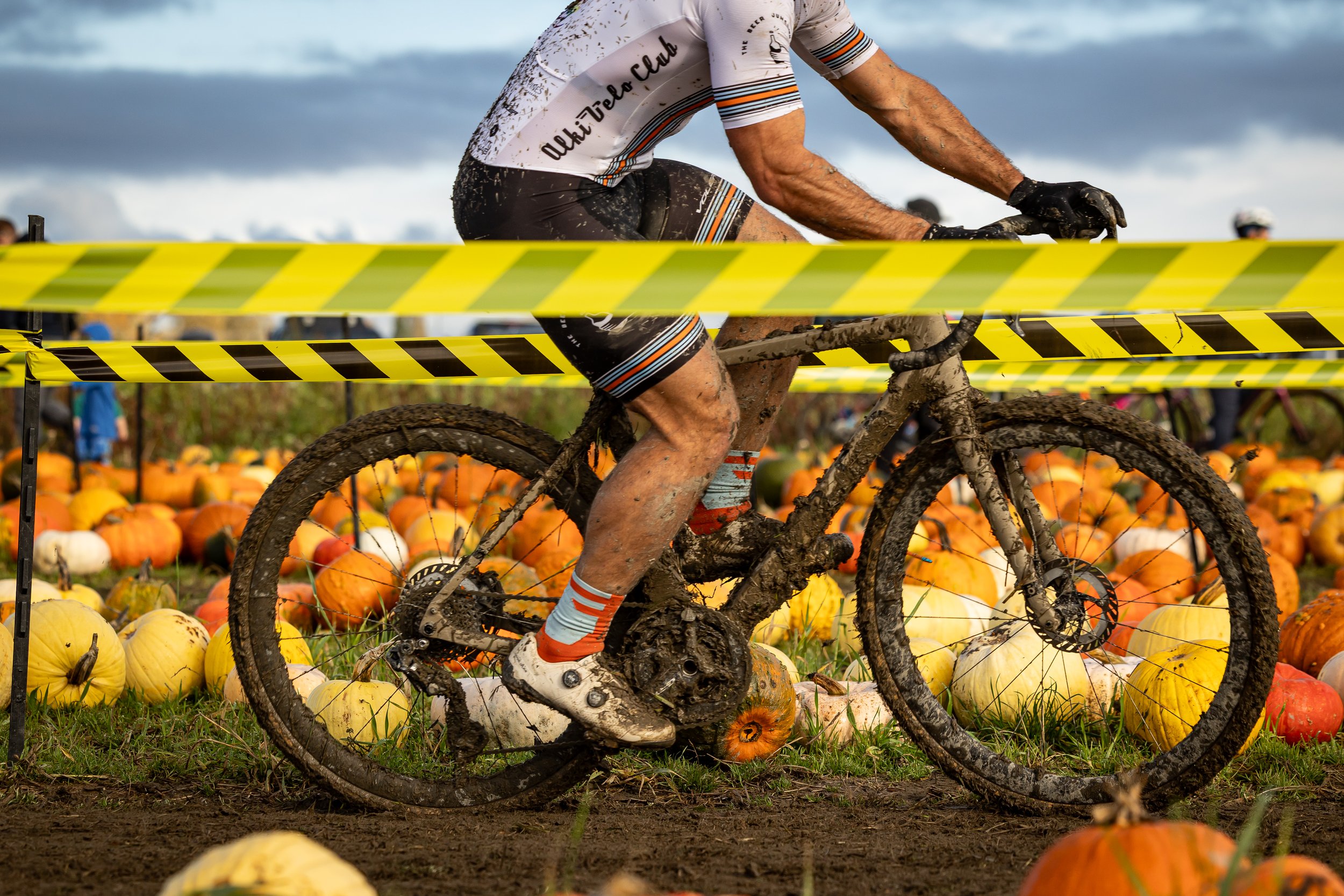 Swan Trails CX 11.02-42.jpg