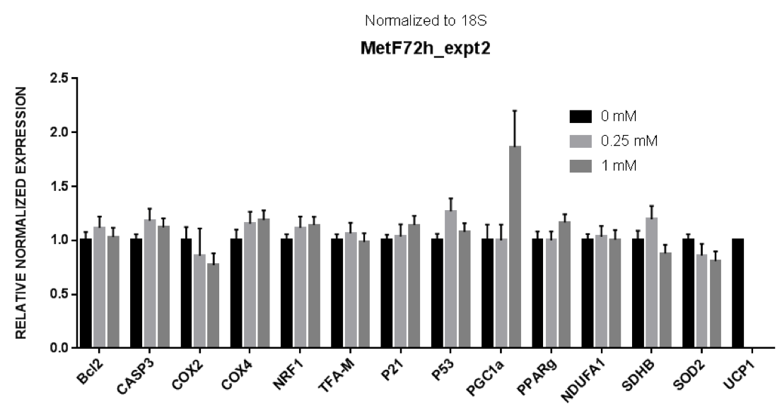 Figure 1. qPCR Data from concentrations 0.0mM, 0.25mM, and 1.0mM, normalized to 18s.