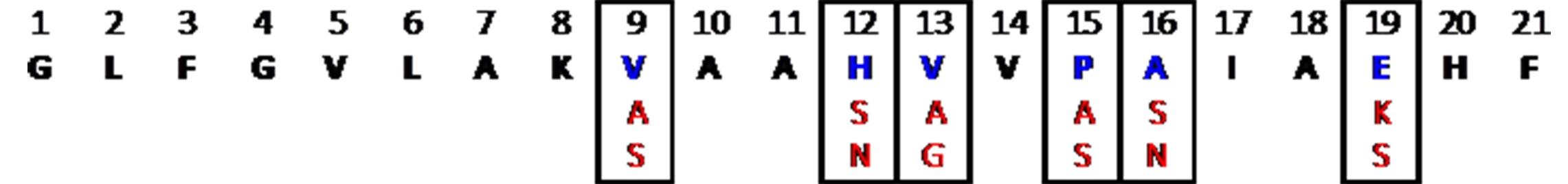 Figure 6. Final peptide library used for synthesis based on the results of the AMP prediction algorithm. The random forest algorithm was used since it had the highest accuracy, precision and AUROC, as well as the lowest false positive rate. 