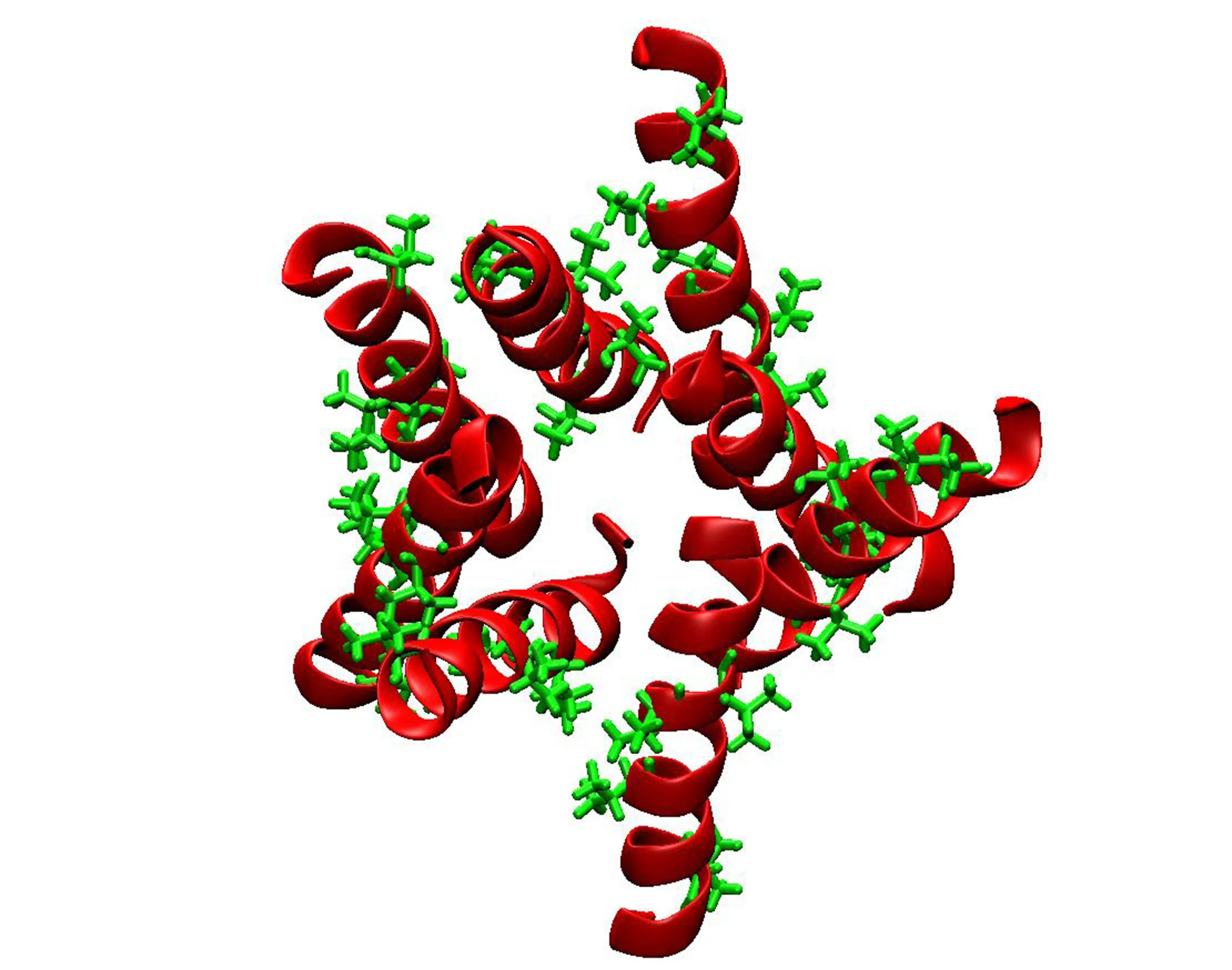 Figure 4. High-atomic detail analysis on the peptide structures. The molecular dynamics simulation allows for an analysis of individual amino acids on the peptide, and an example is shown with valine, represented in green.