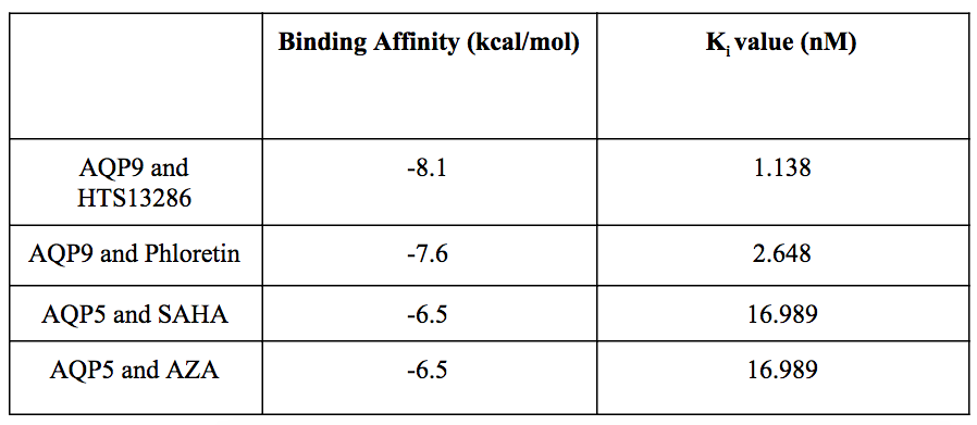 Table 1. Binding affinities and Ki values.
