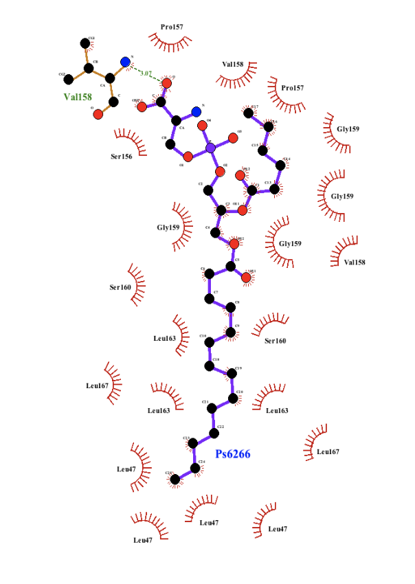 Figure 1. LigPlot of AQP5 and SAHA.