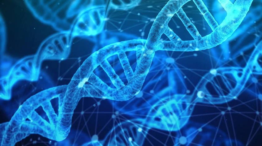 Caught Red Handed by DNA Profiling