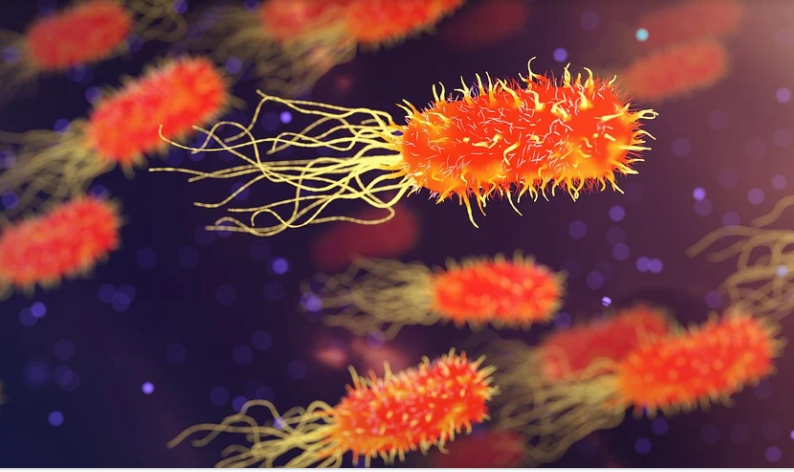 A Comprehensive 16S rRNA Gene Analysis of the Role of Childhood Factors from Birth to Age Three in the Development and Adult State of the Gut Microbiota