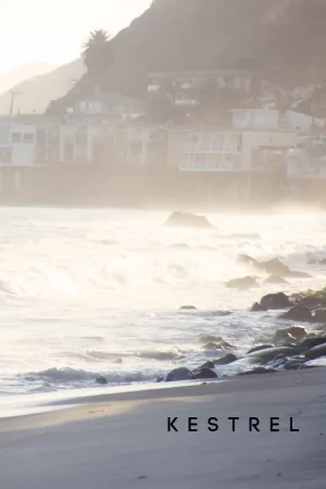 Kestrel-SS15-web-1.jpg