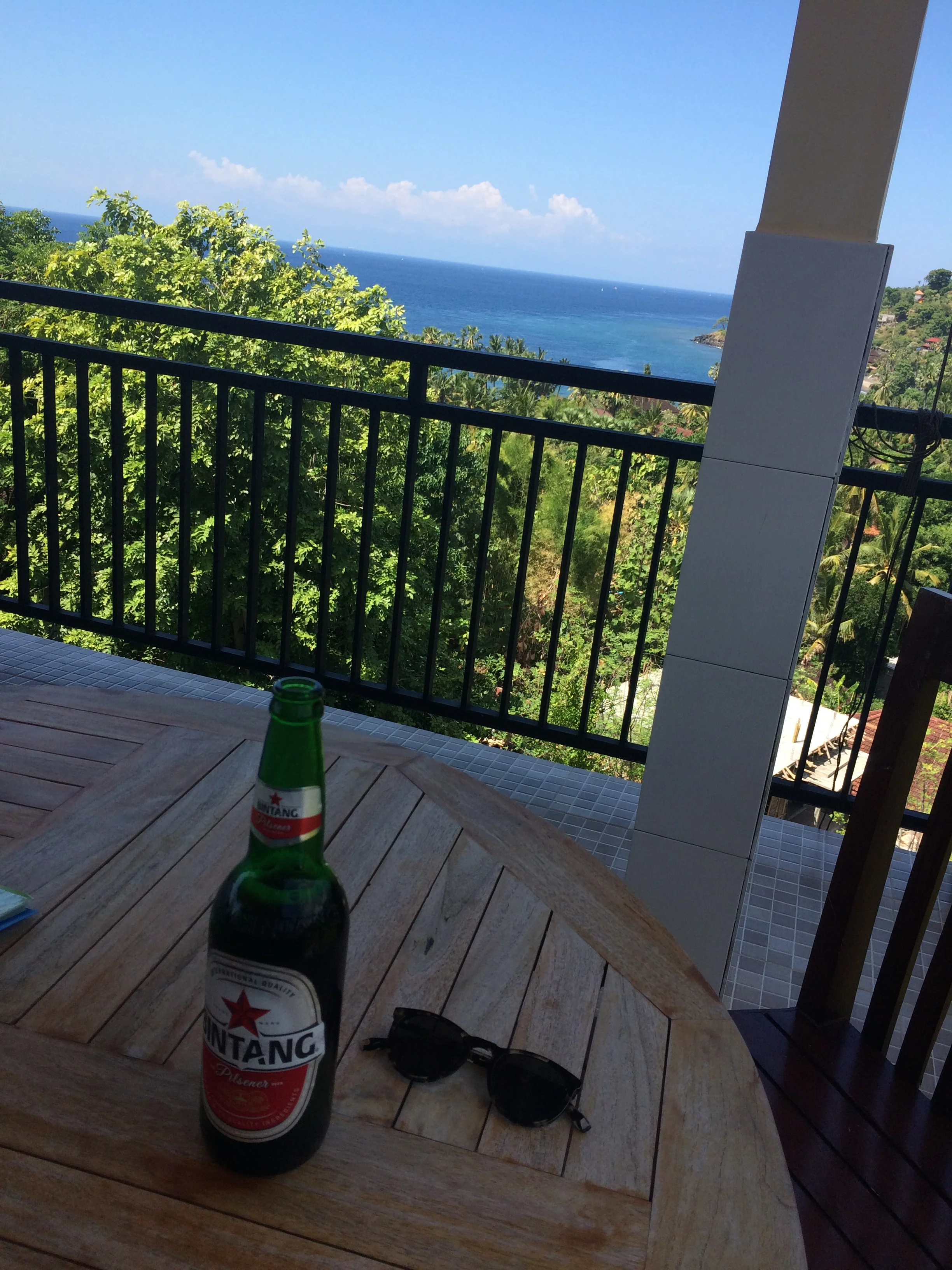 View from the rooftop restaurant at Anugerah Villas, where we stayed in Amed. 