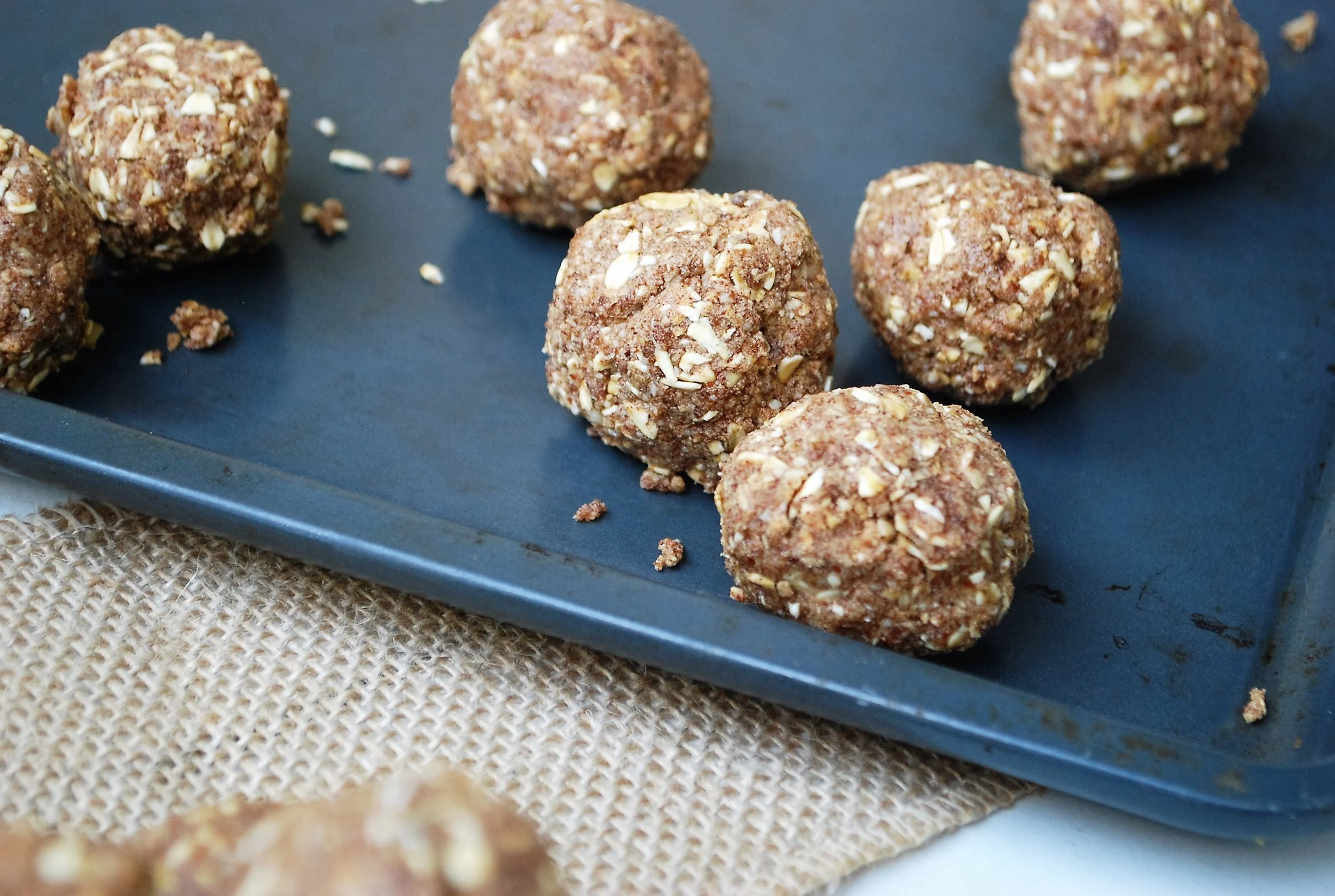 Vanilla Cinnamon Protein Bites