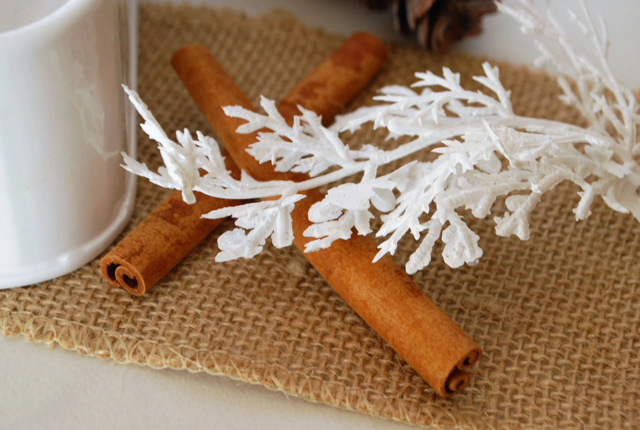 Your Delicious Holiday Recipe Round Up