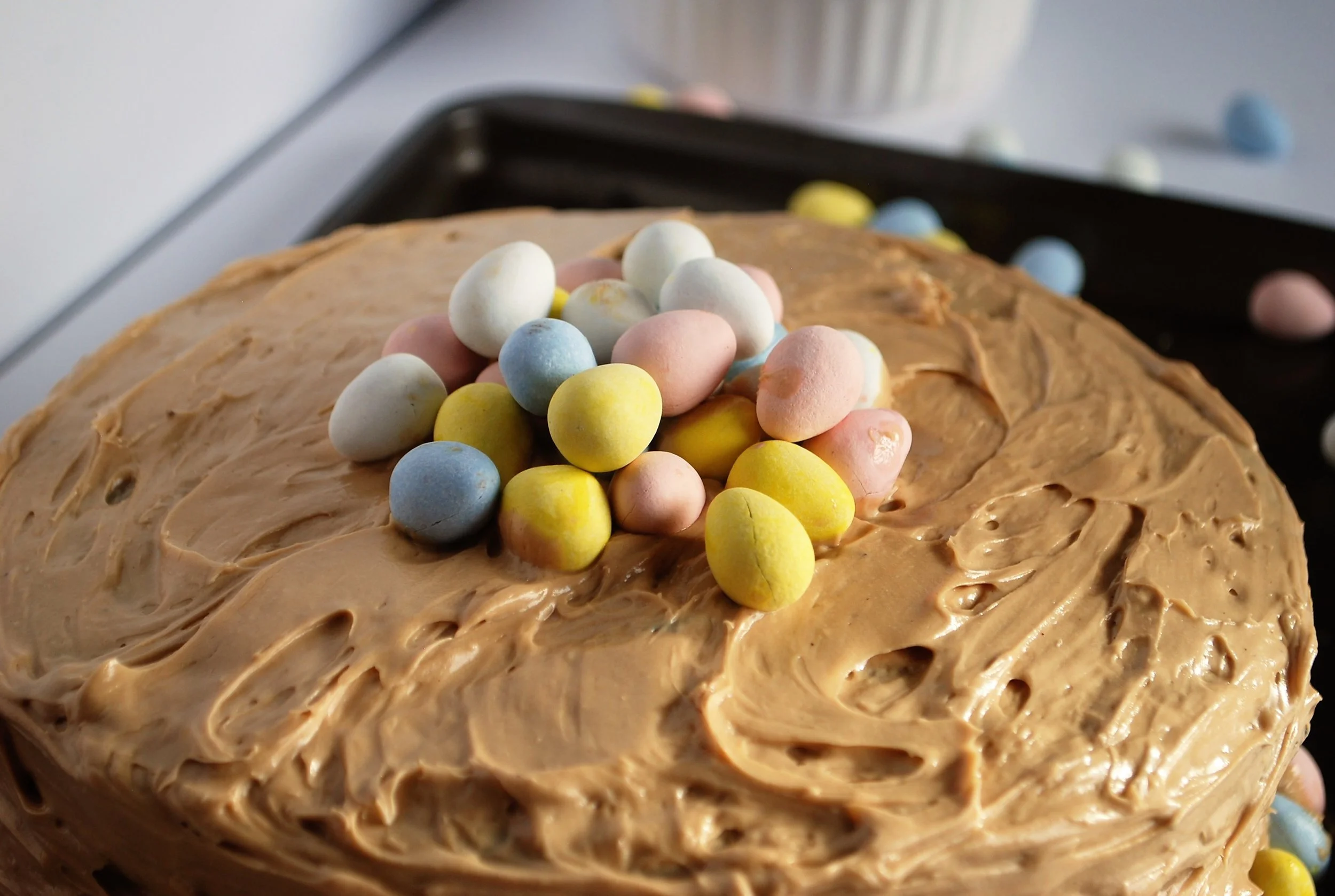 Chocolate Mocha Cake