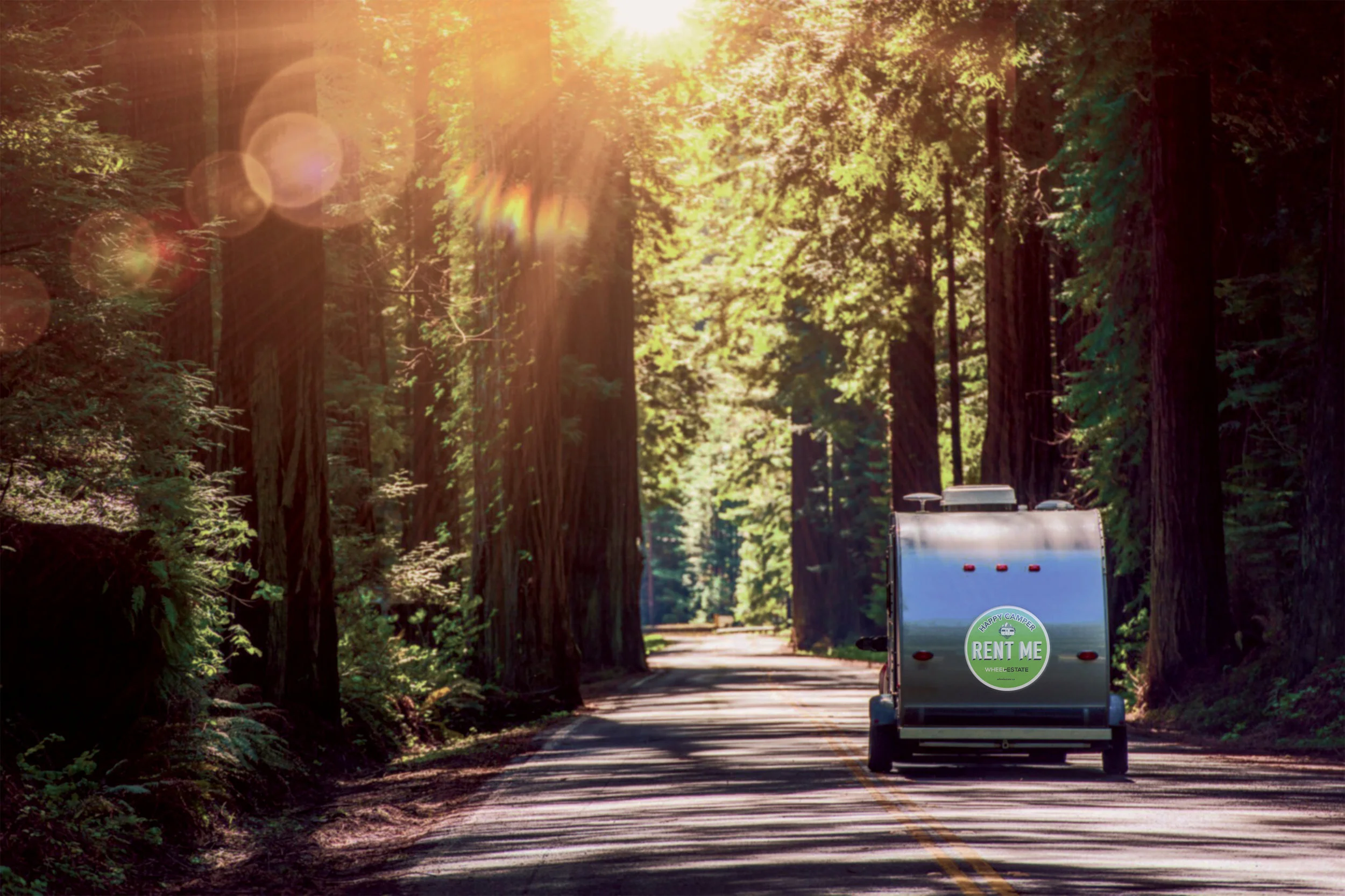 Camping-in-Redwoods-WE-sticker.jpg