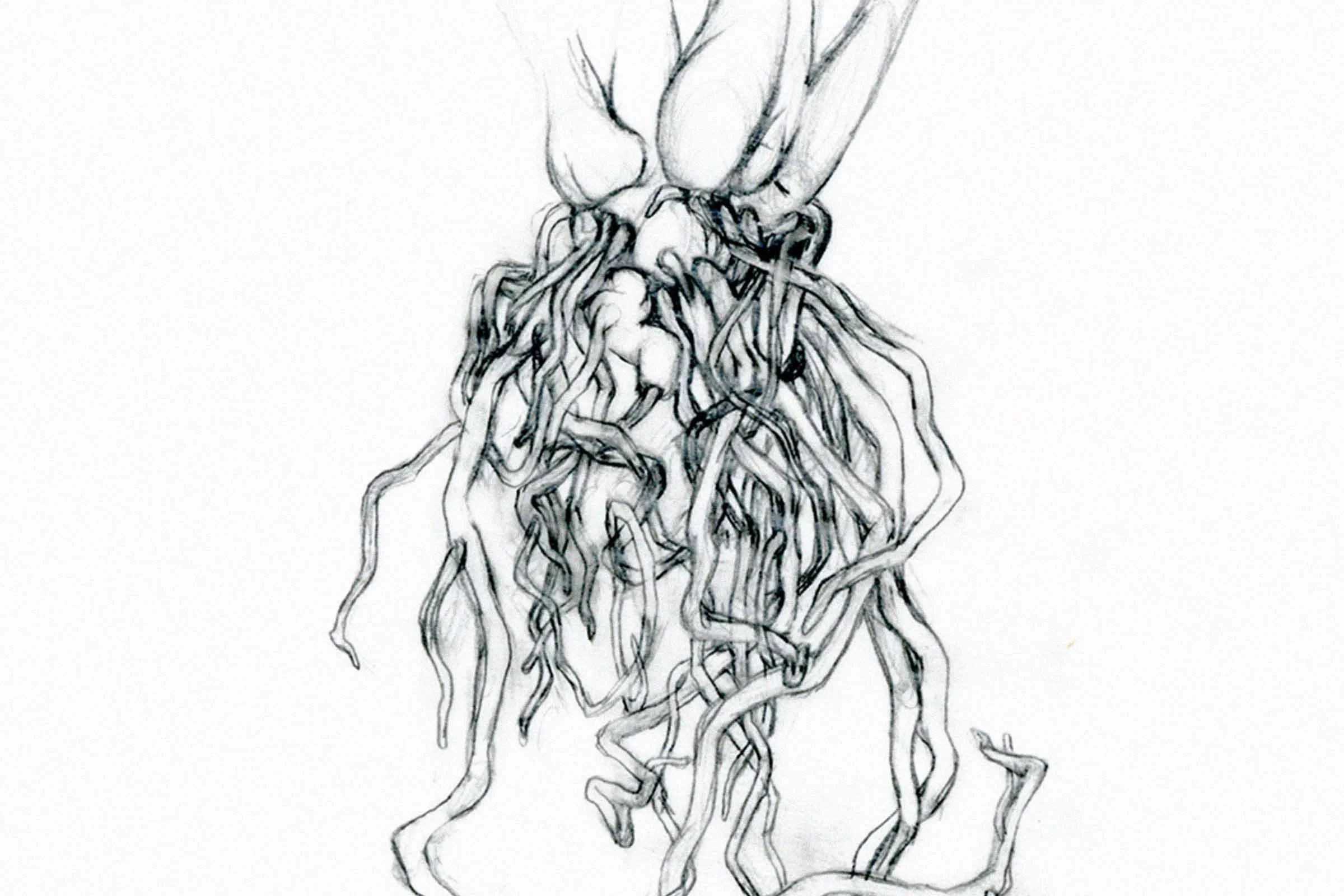 cover3_rootscan.jpg