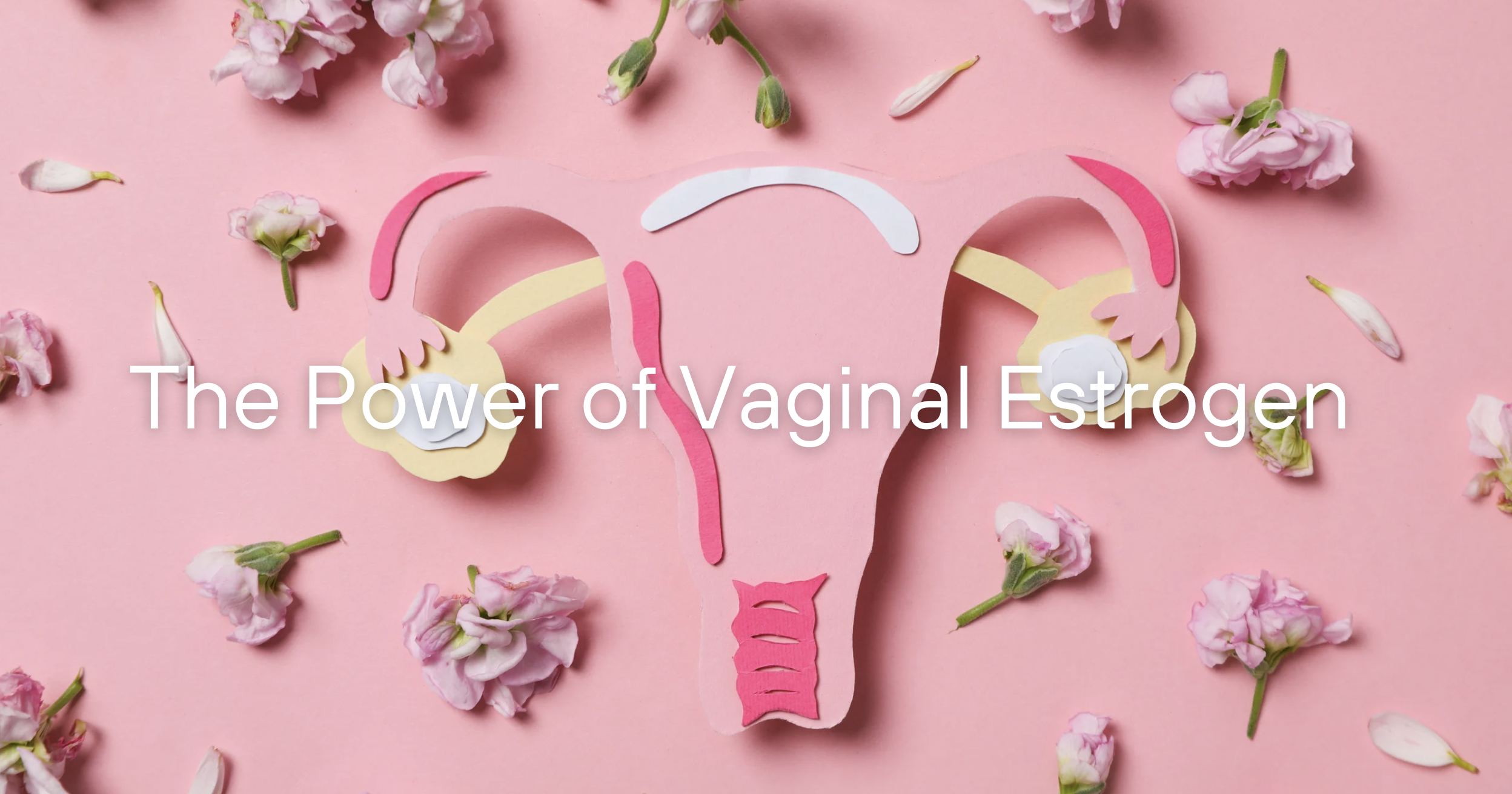 The Power of Vaginal Estrogen Wellness Webinar!