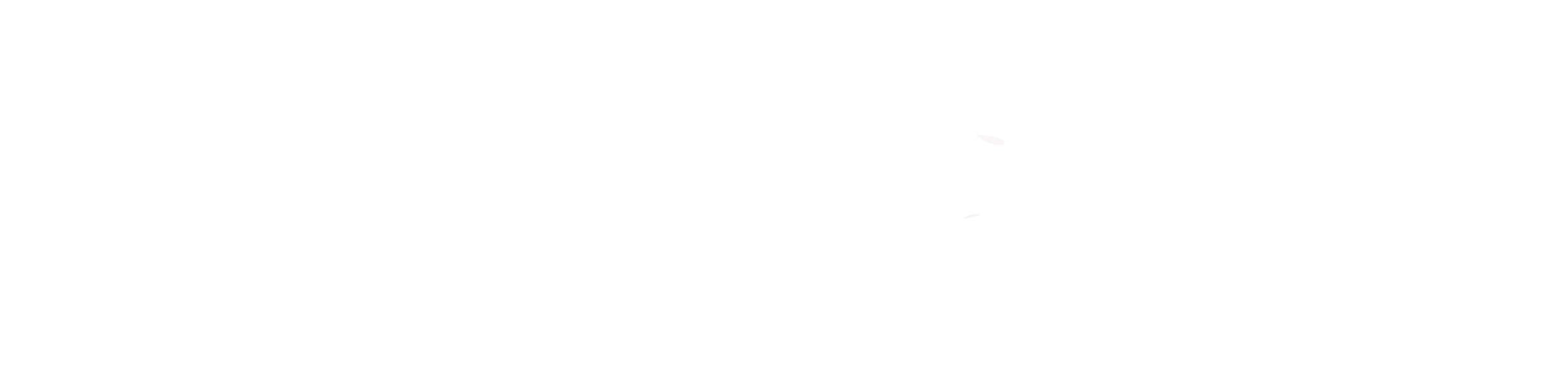 Barkly Logo New - WHITE.png