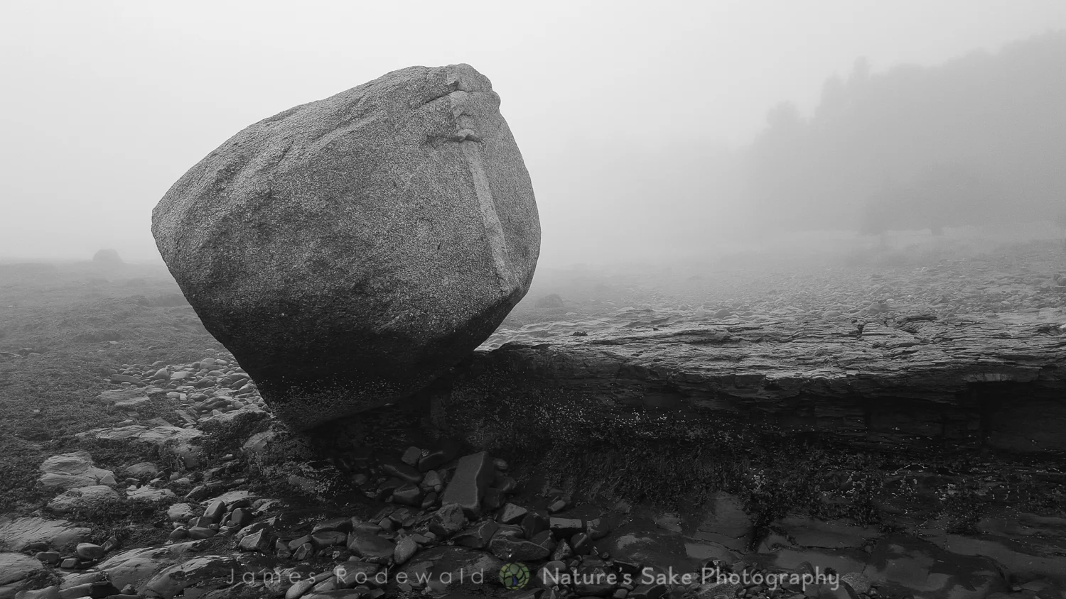 acadia_SITE-7.jpg