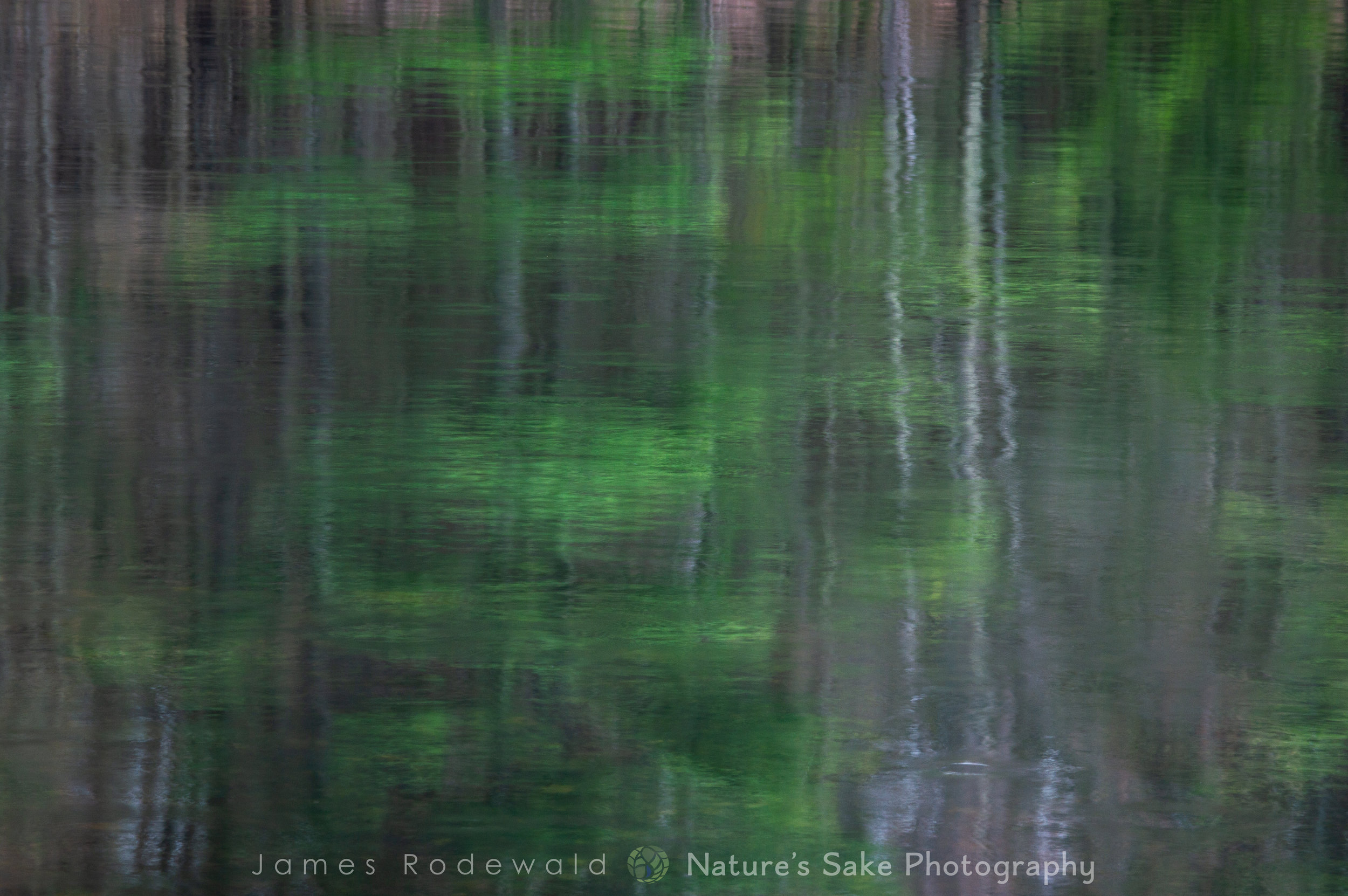 spring_reflection_VERO-1.jpg
