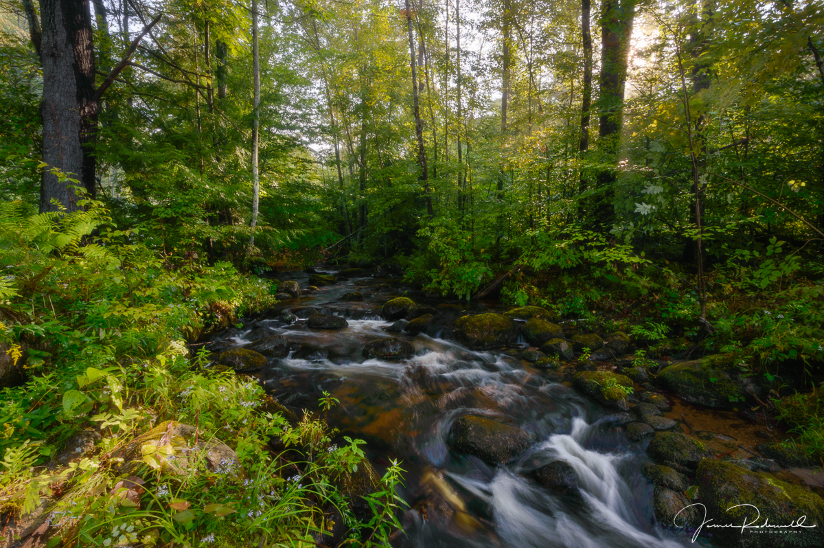 fall_stream_by_morning_light_L-2.jpg