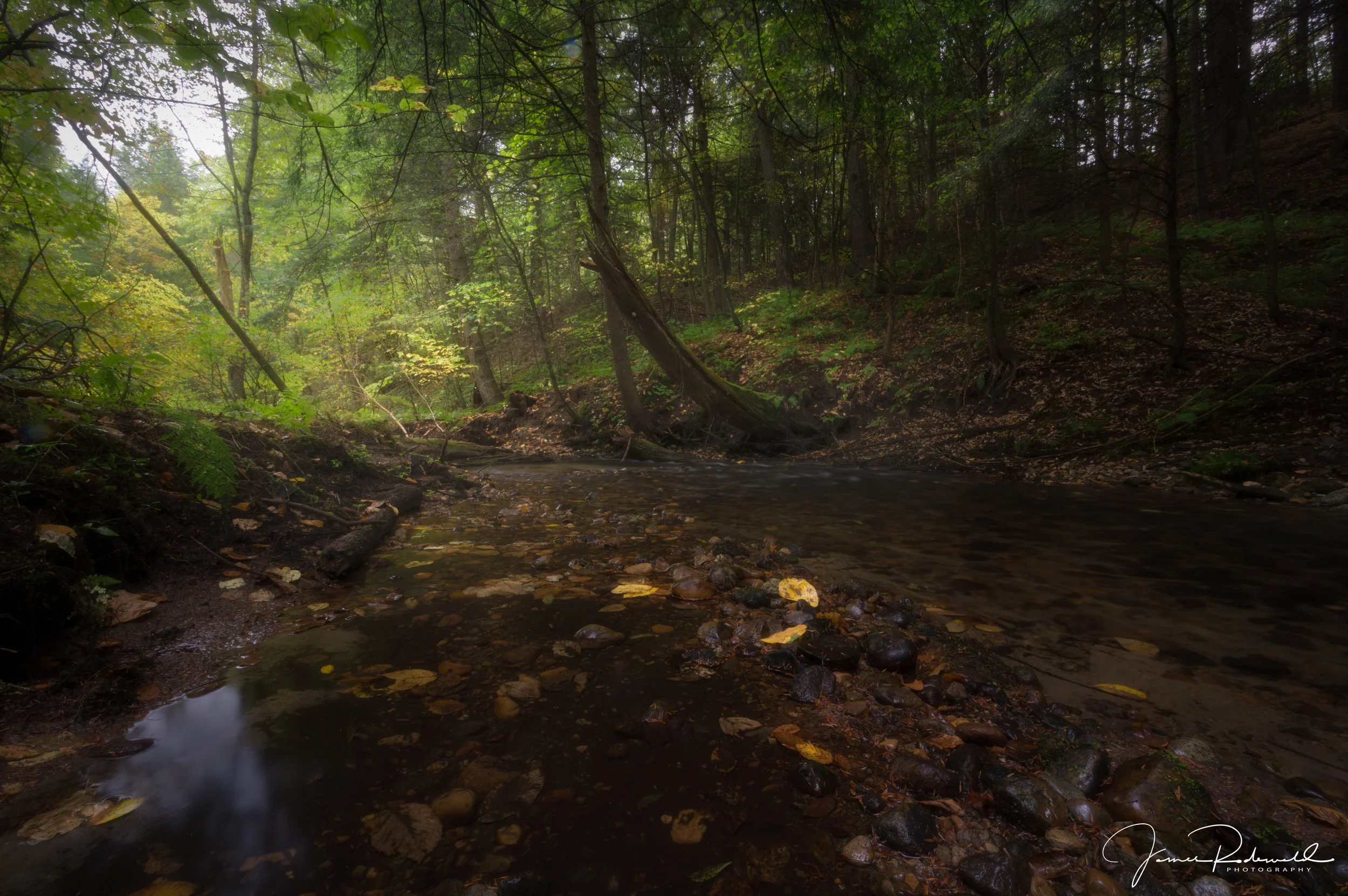 fall_brook_L.jpg