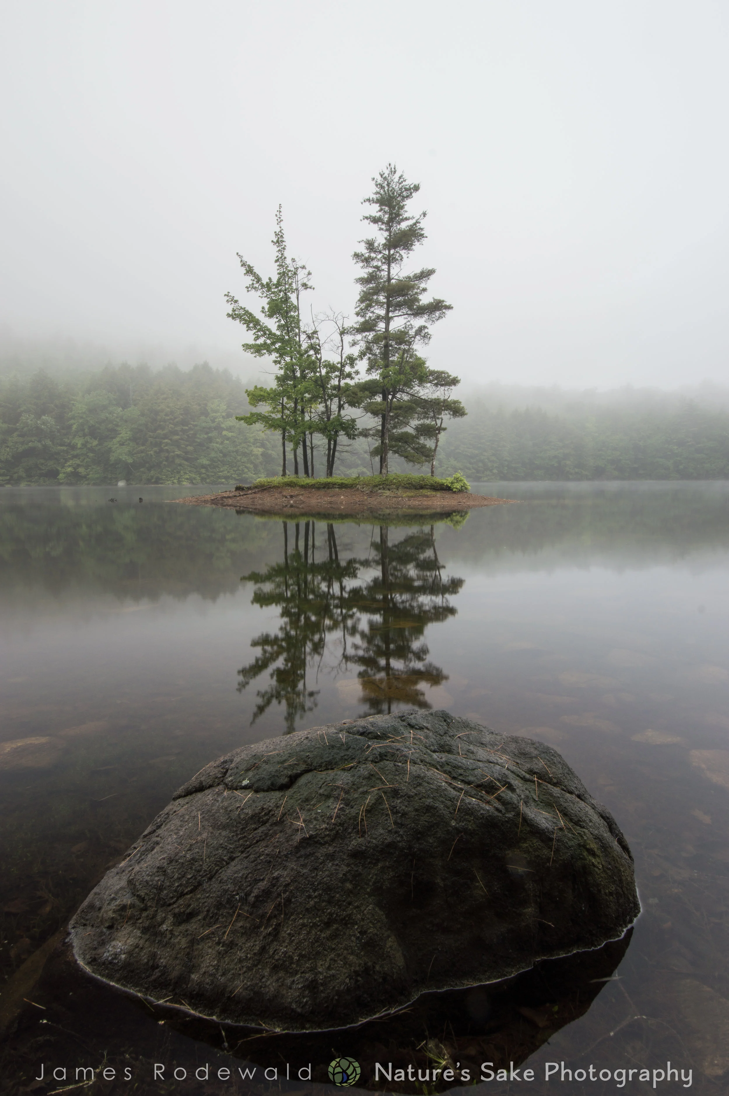 DSC_0800.jpg
