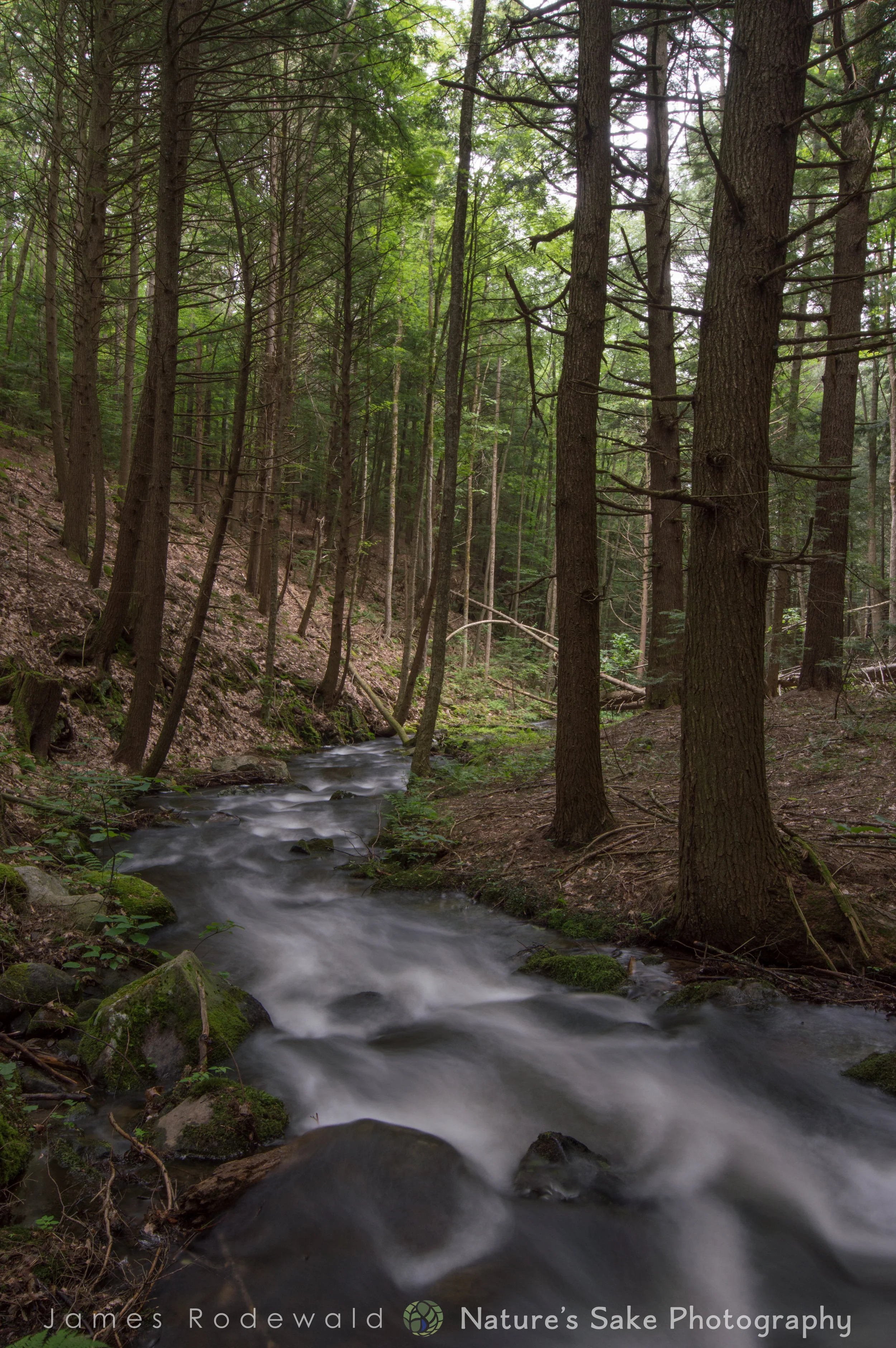 DSC_0027.jpg