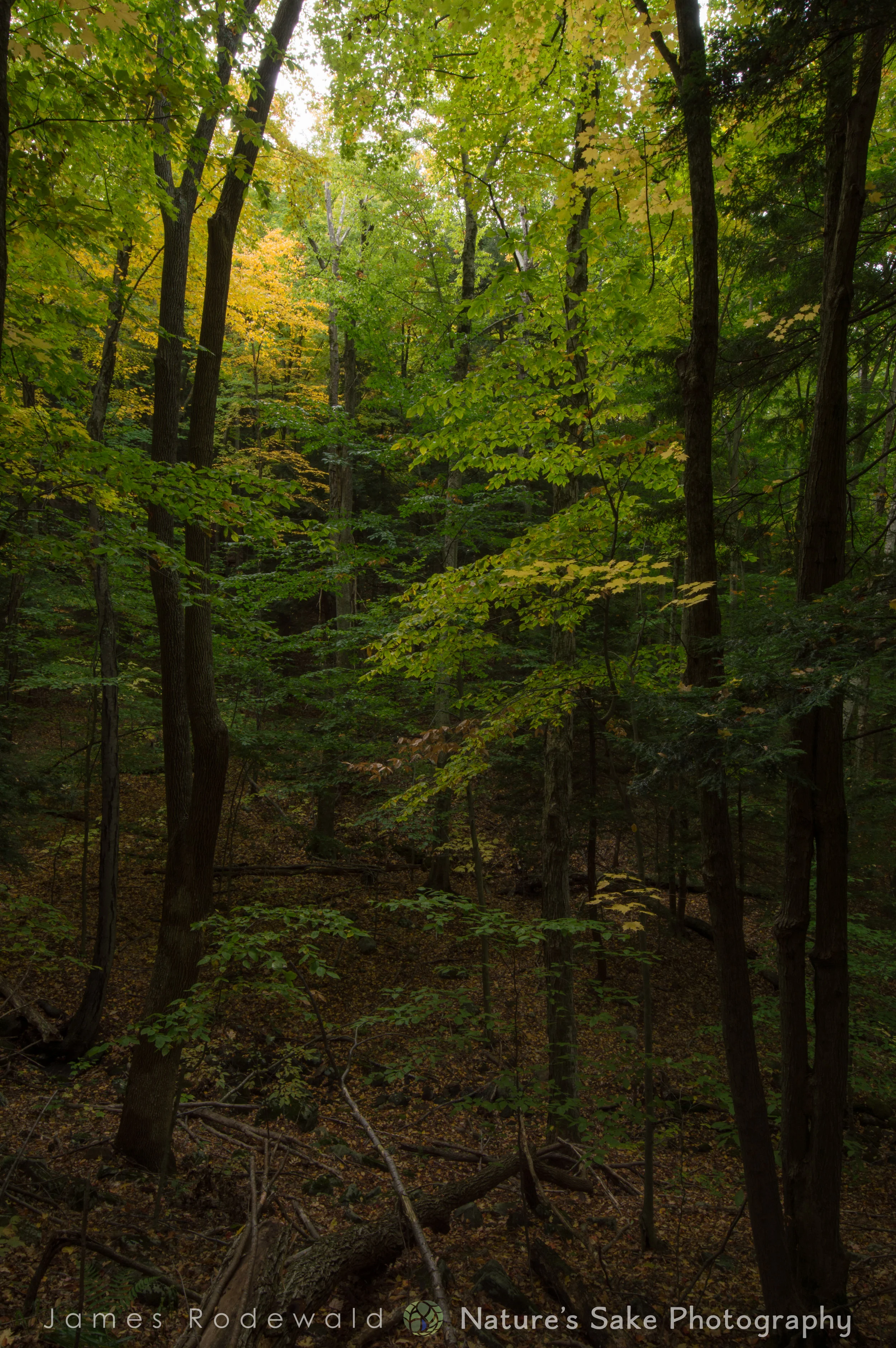 DSC_0632.jpg
