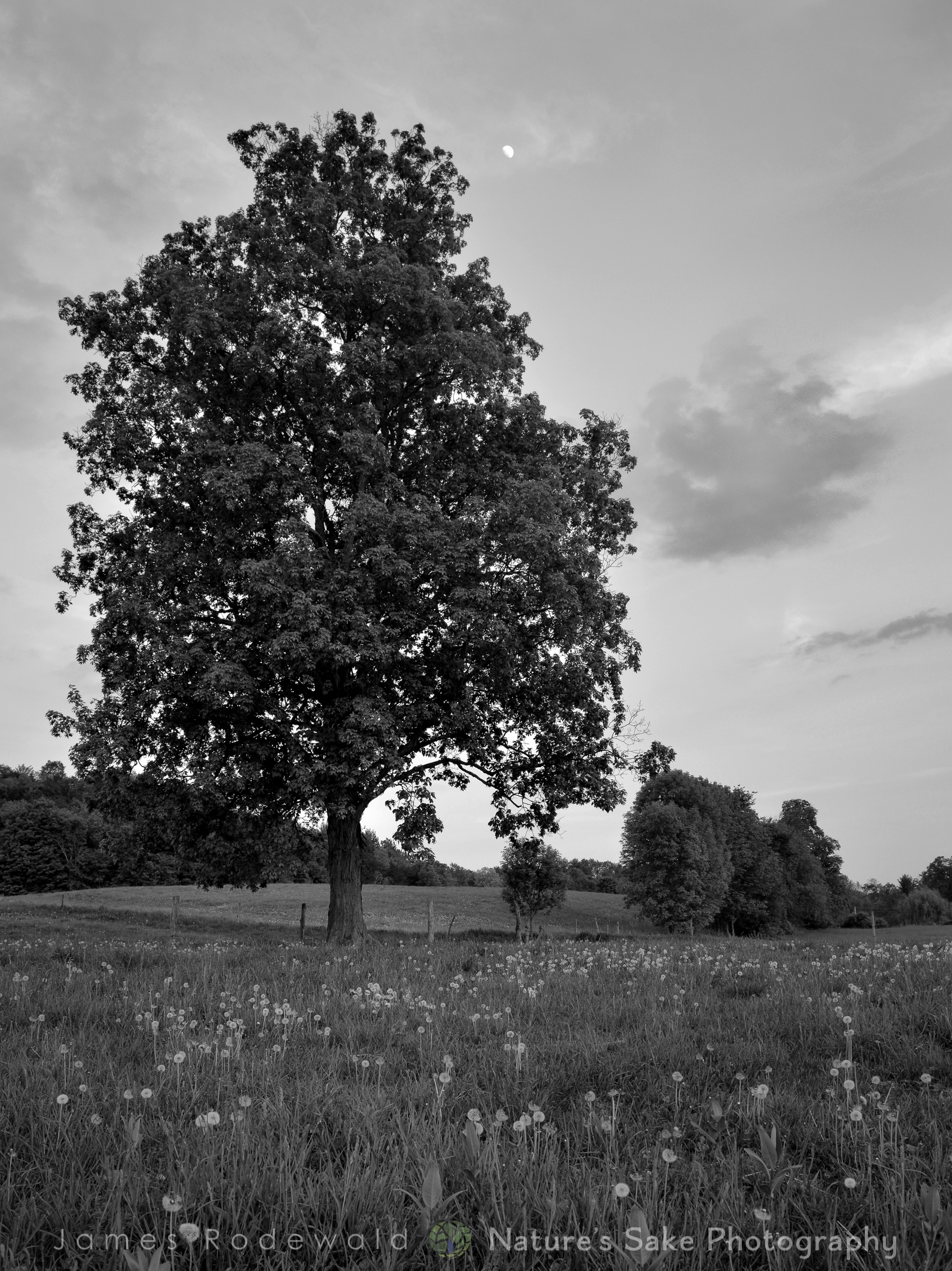 agriculture-2.jpg