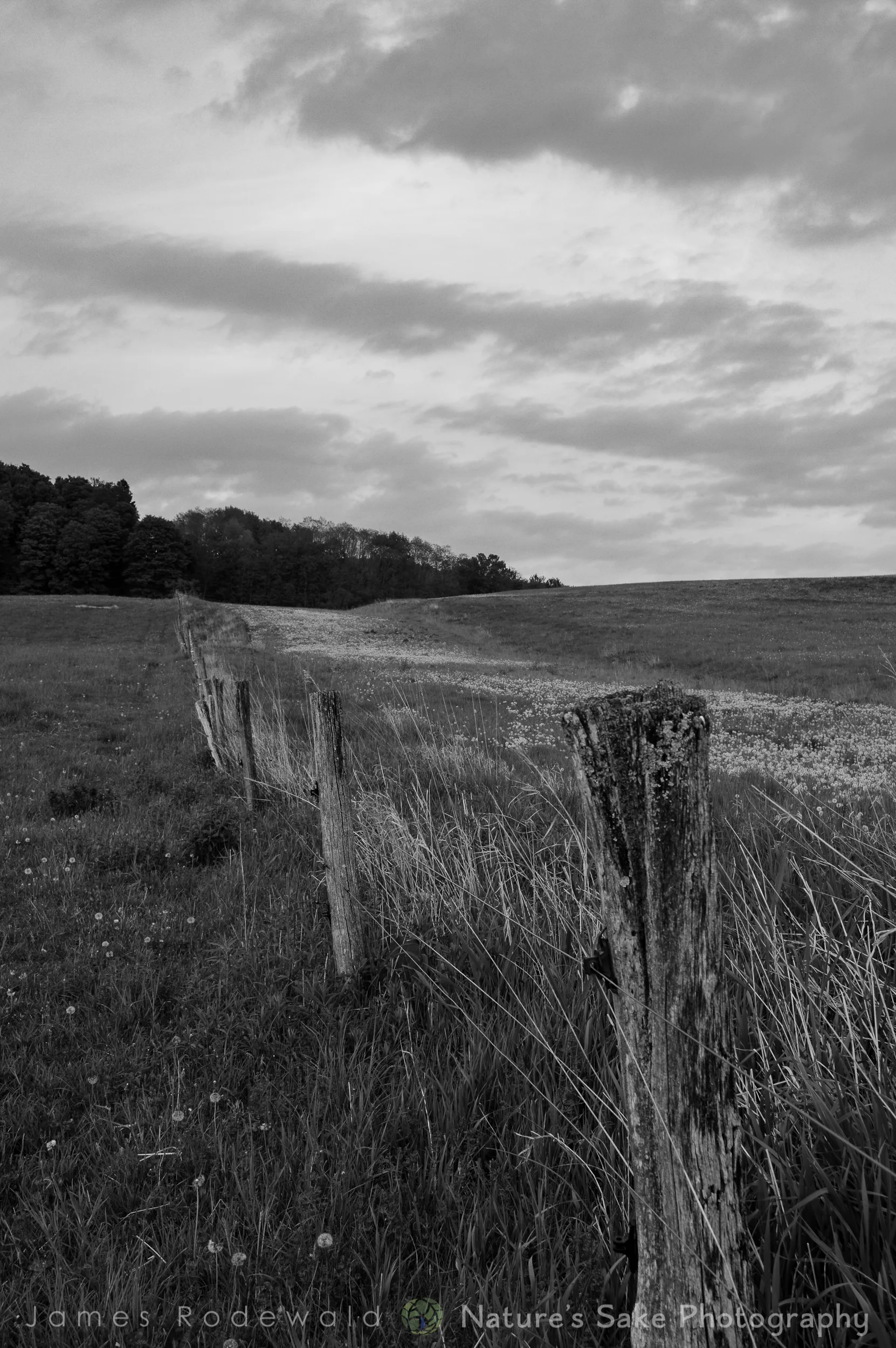 agriculture-4.jpg