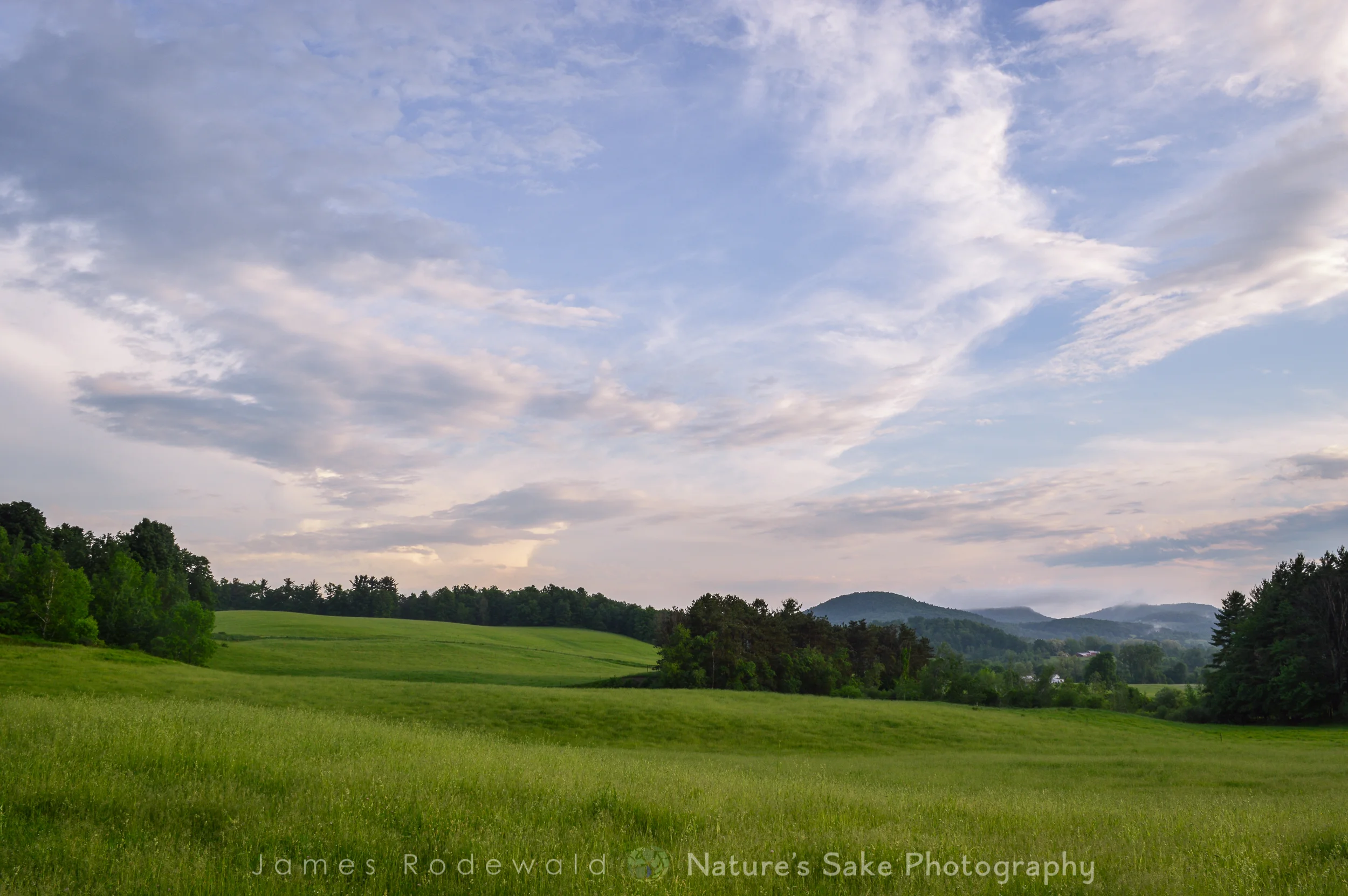 agriculture-5.jpg