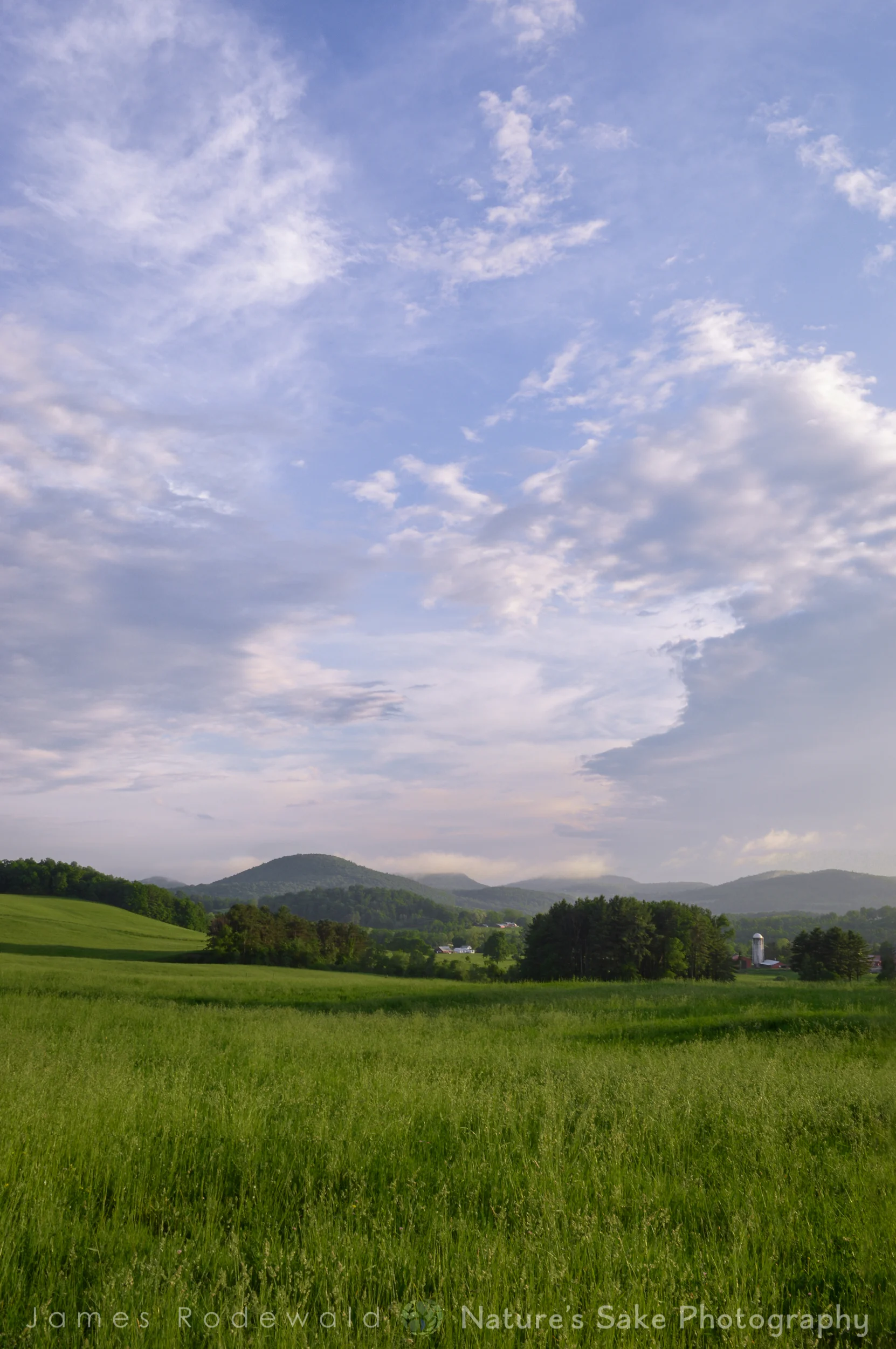 agriculture-6.jpg