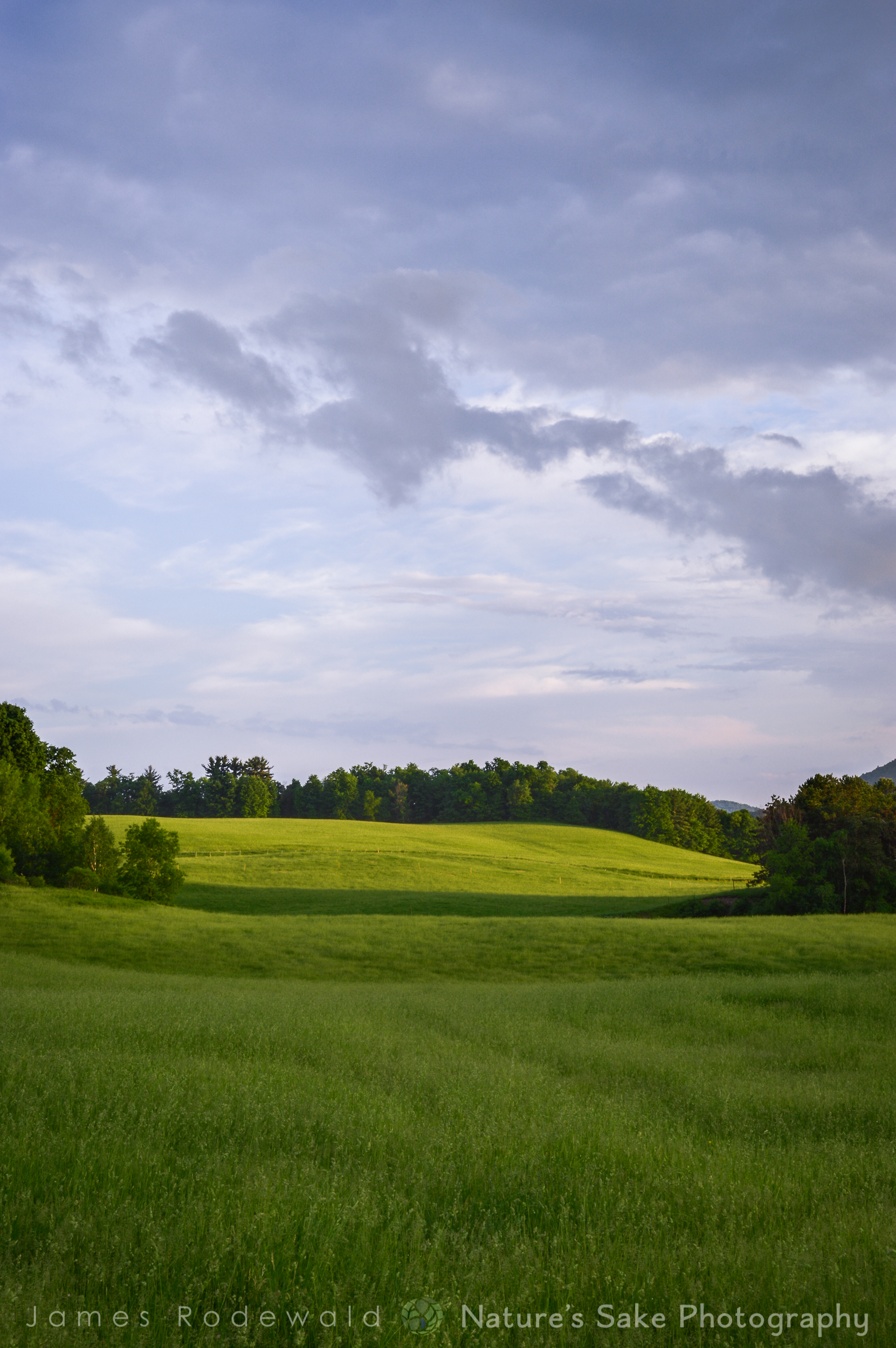 agriculture-9.jpg