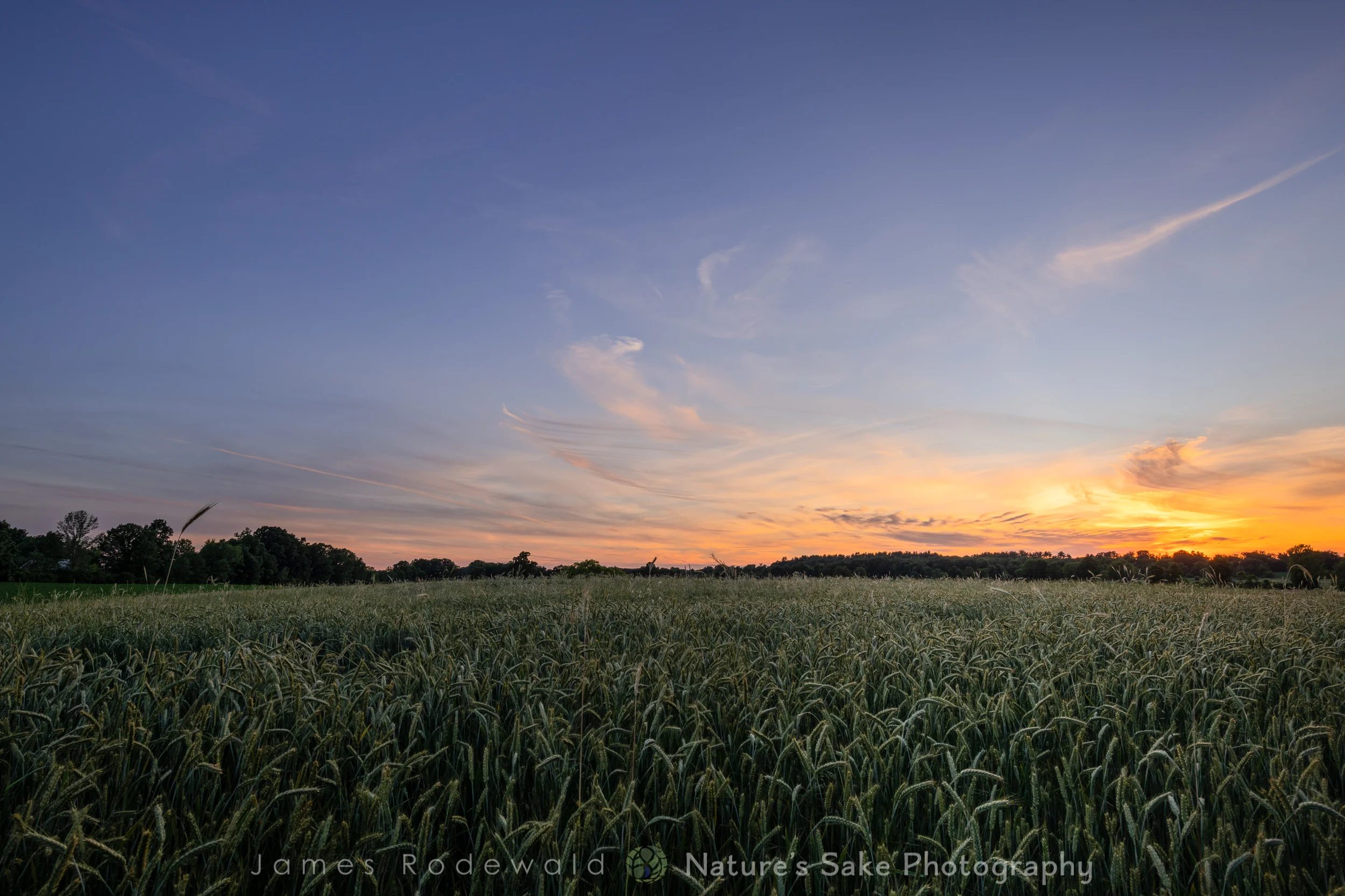 agriculture-10.jpg