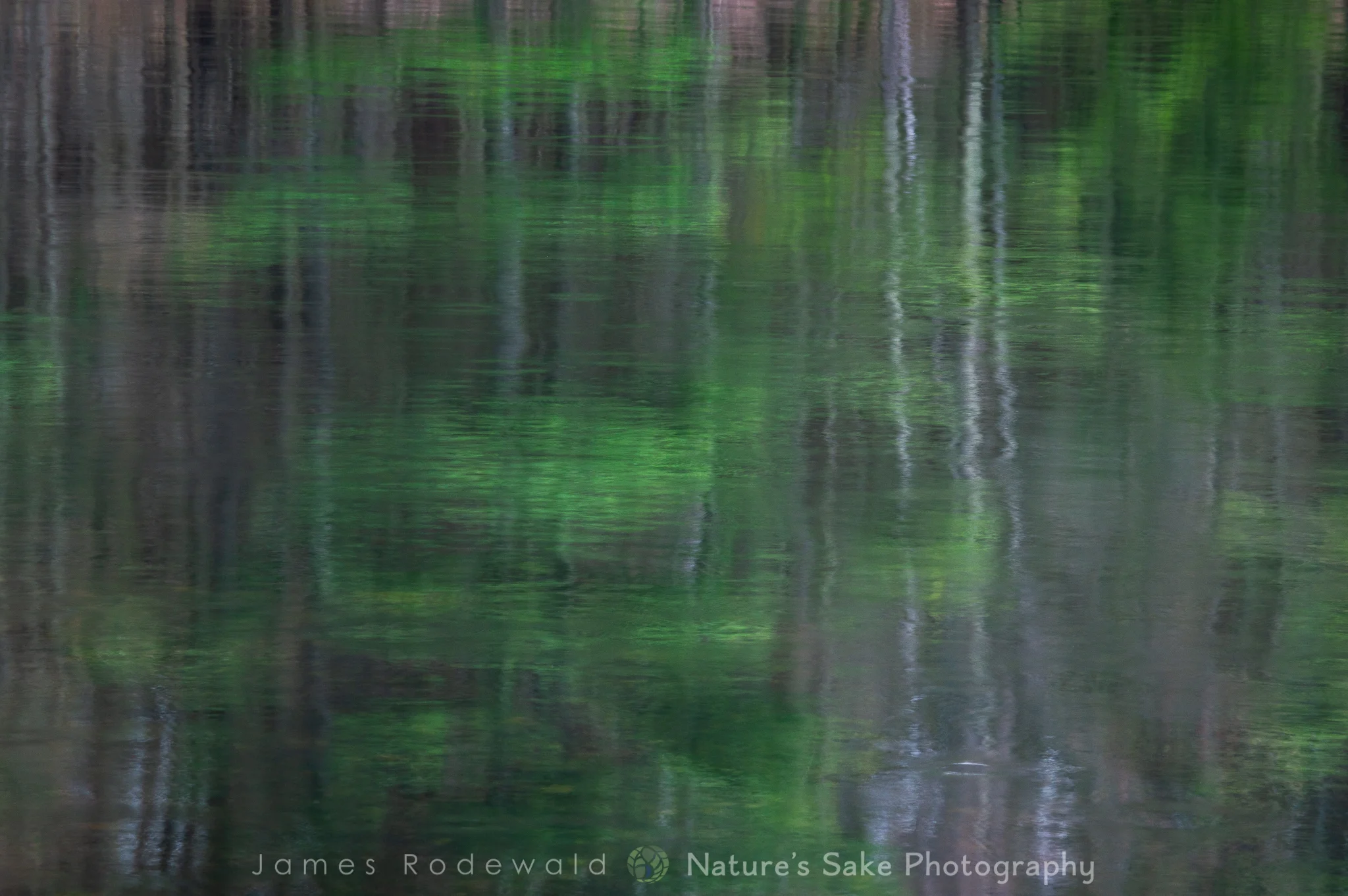 "Reflections of Spring."