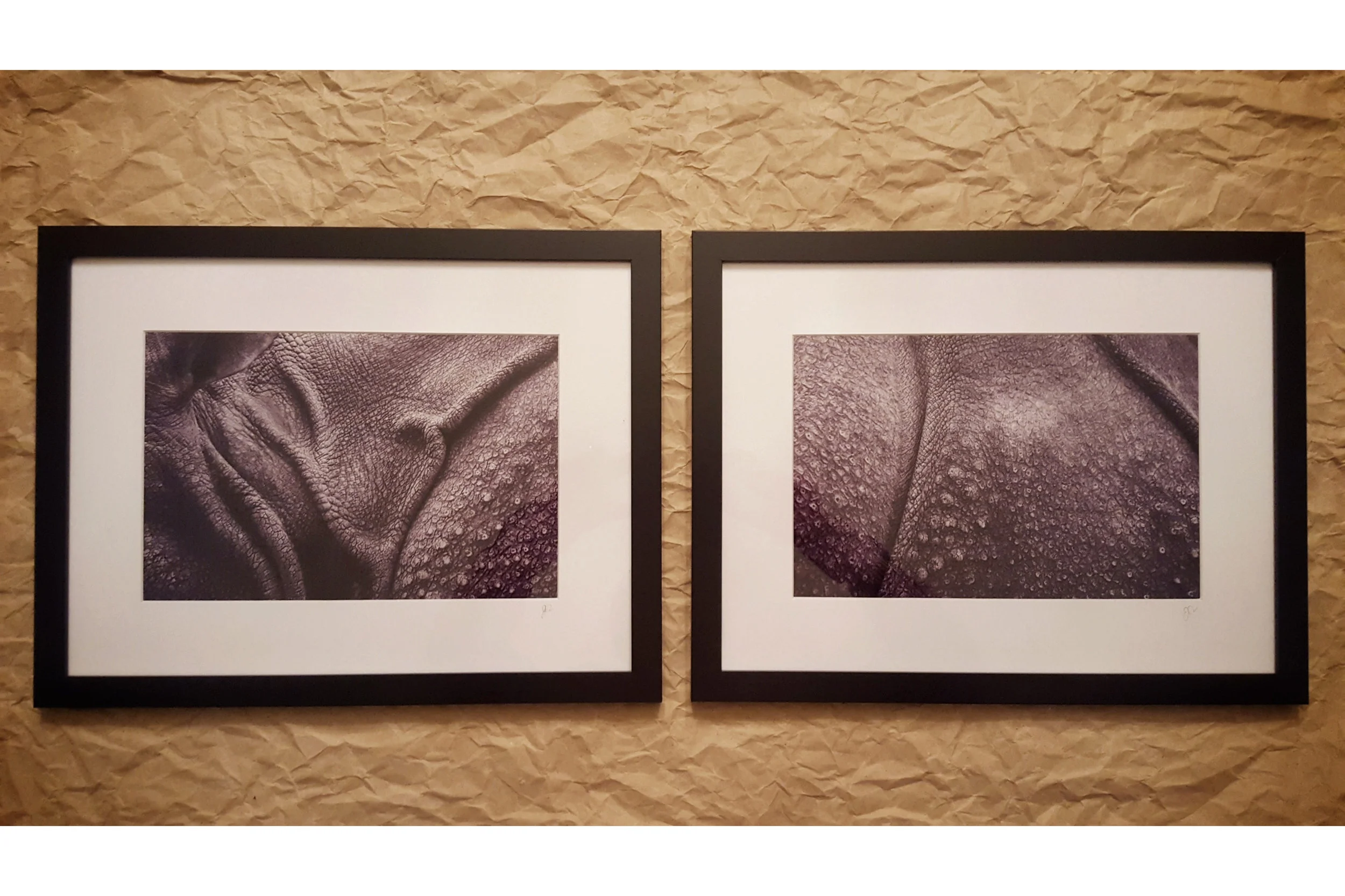 Black Rhino Metallic Print Set (artist proof)
