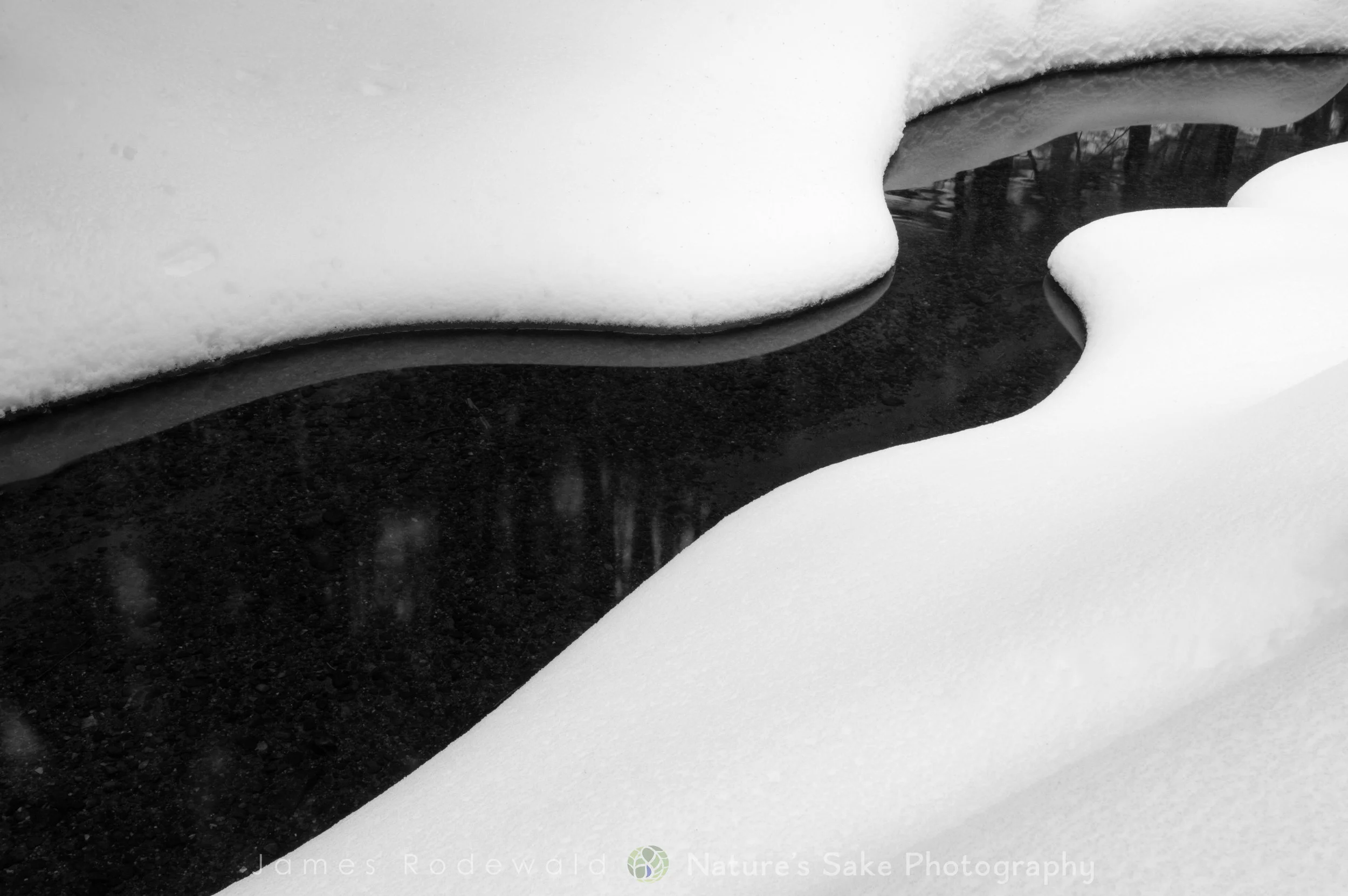 snow_L.jpg