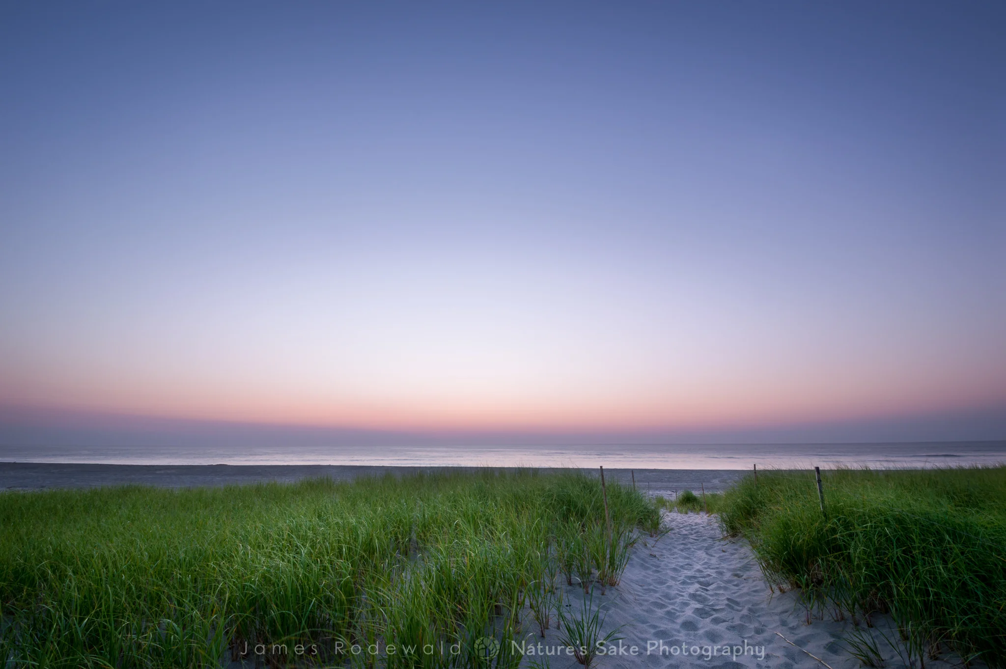 Seaside Dawn