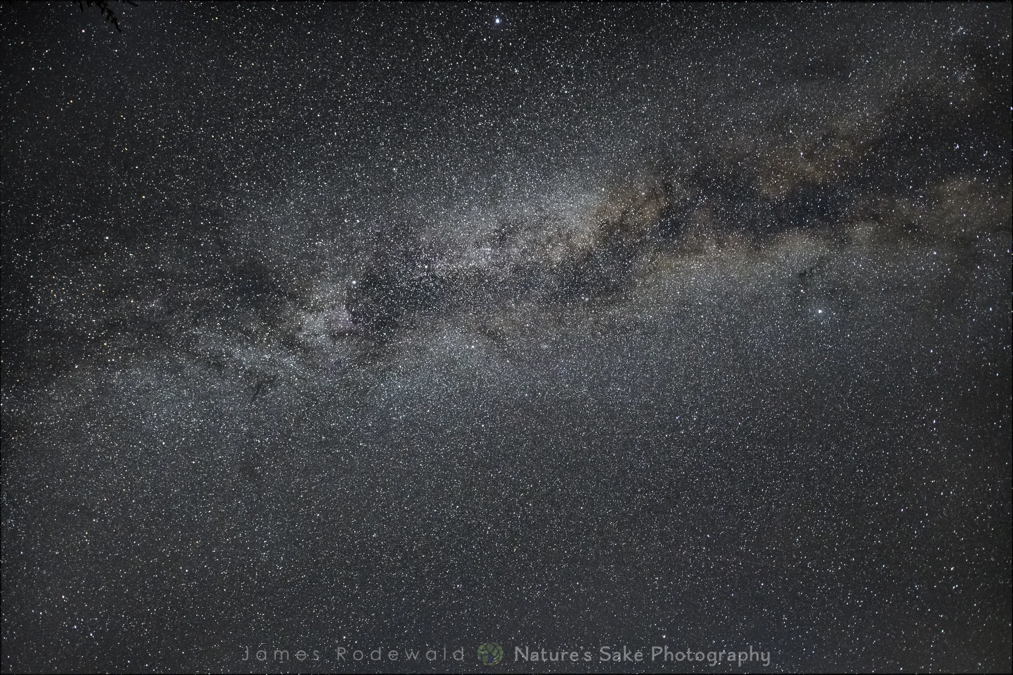 Star Dust.