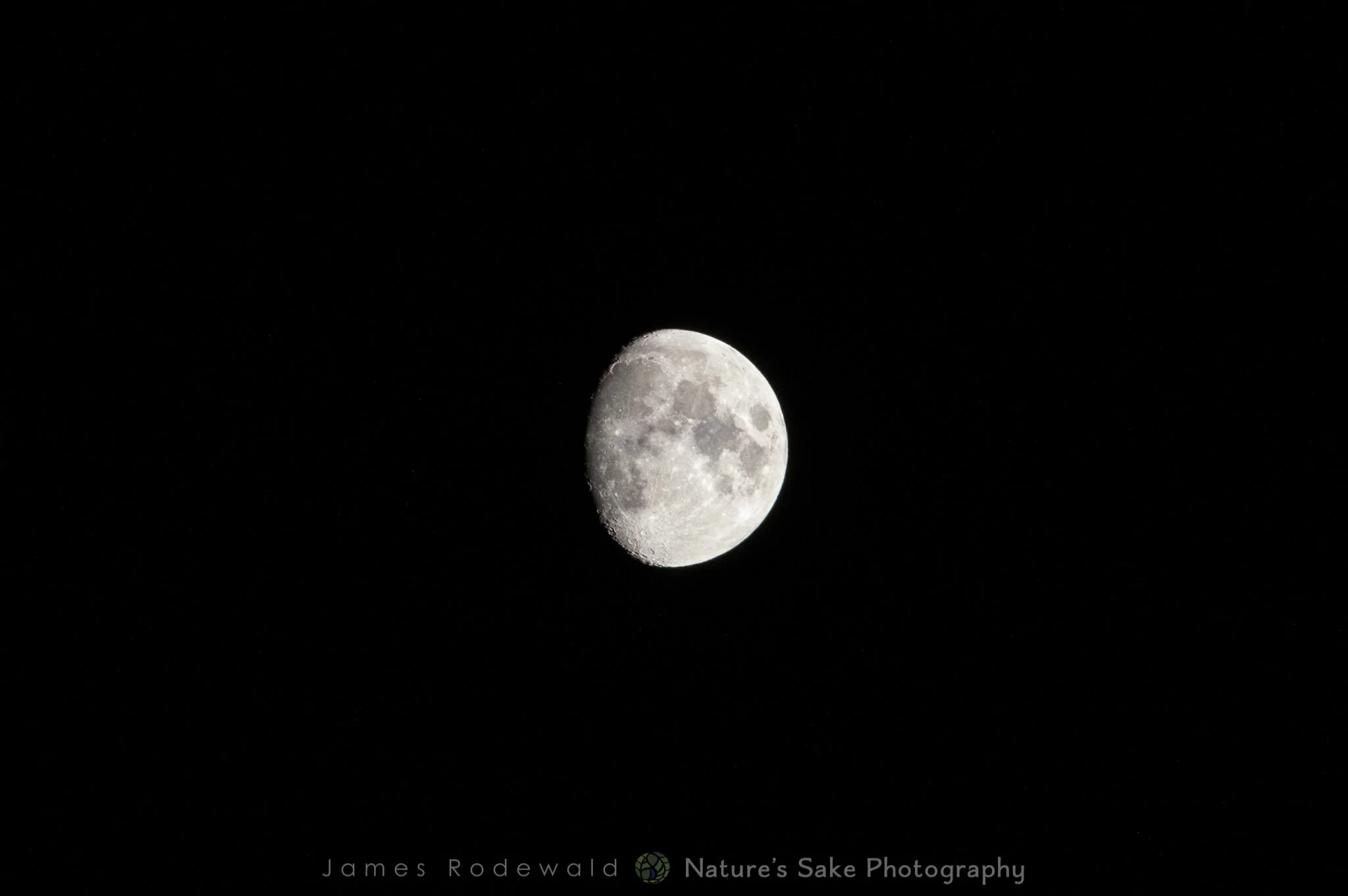 moon-2.jpg