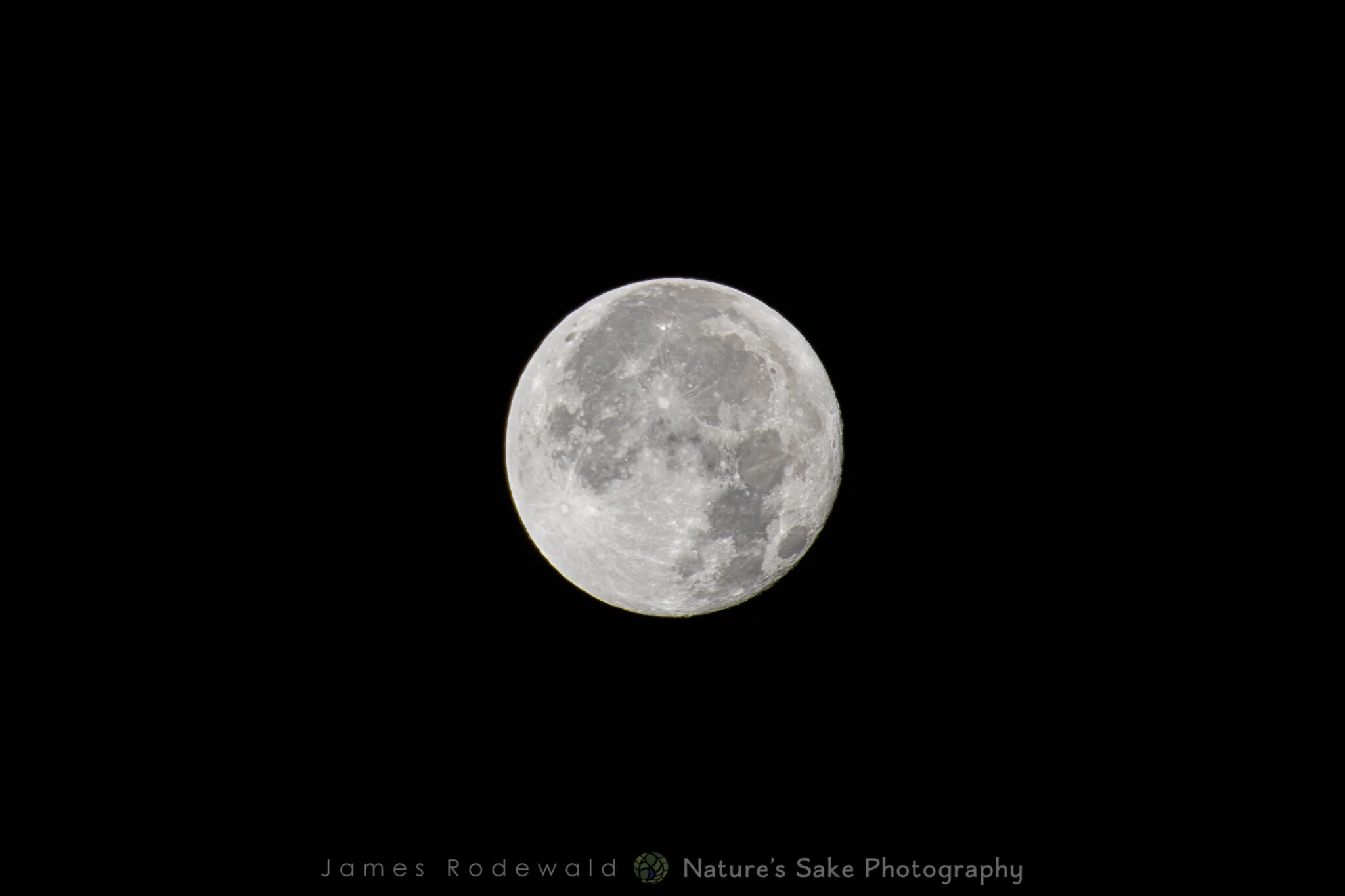 full_moon.jpg