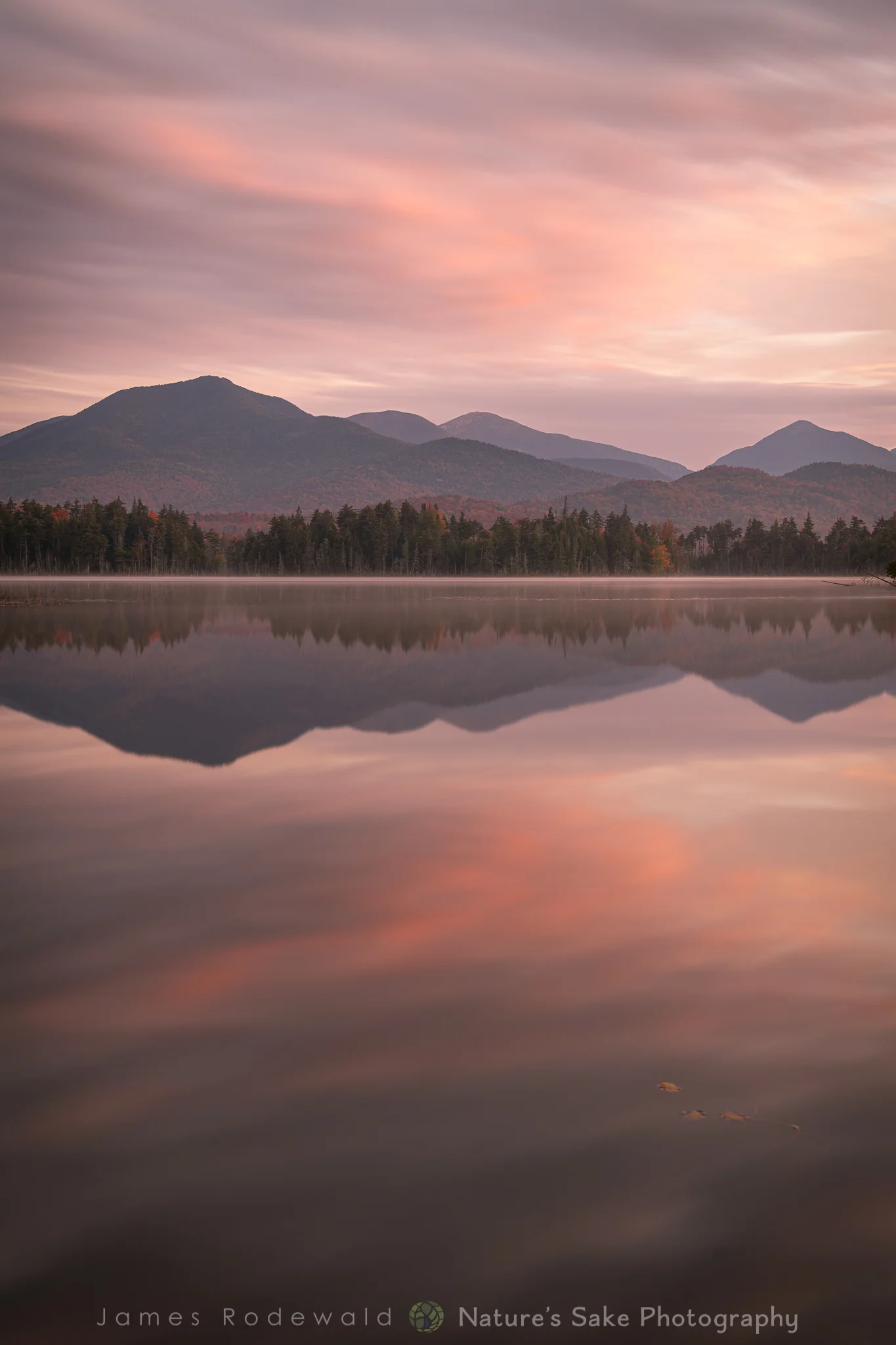 Boreas Glow.