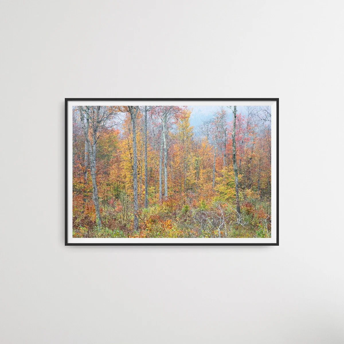 "Autumn Meadow"