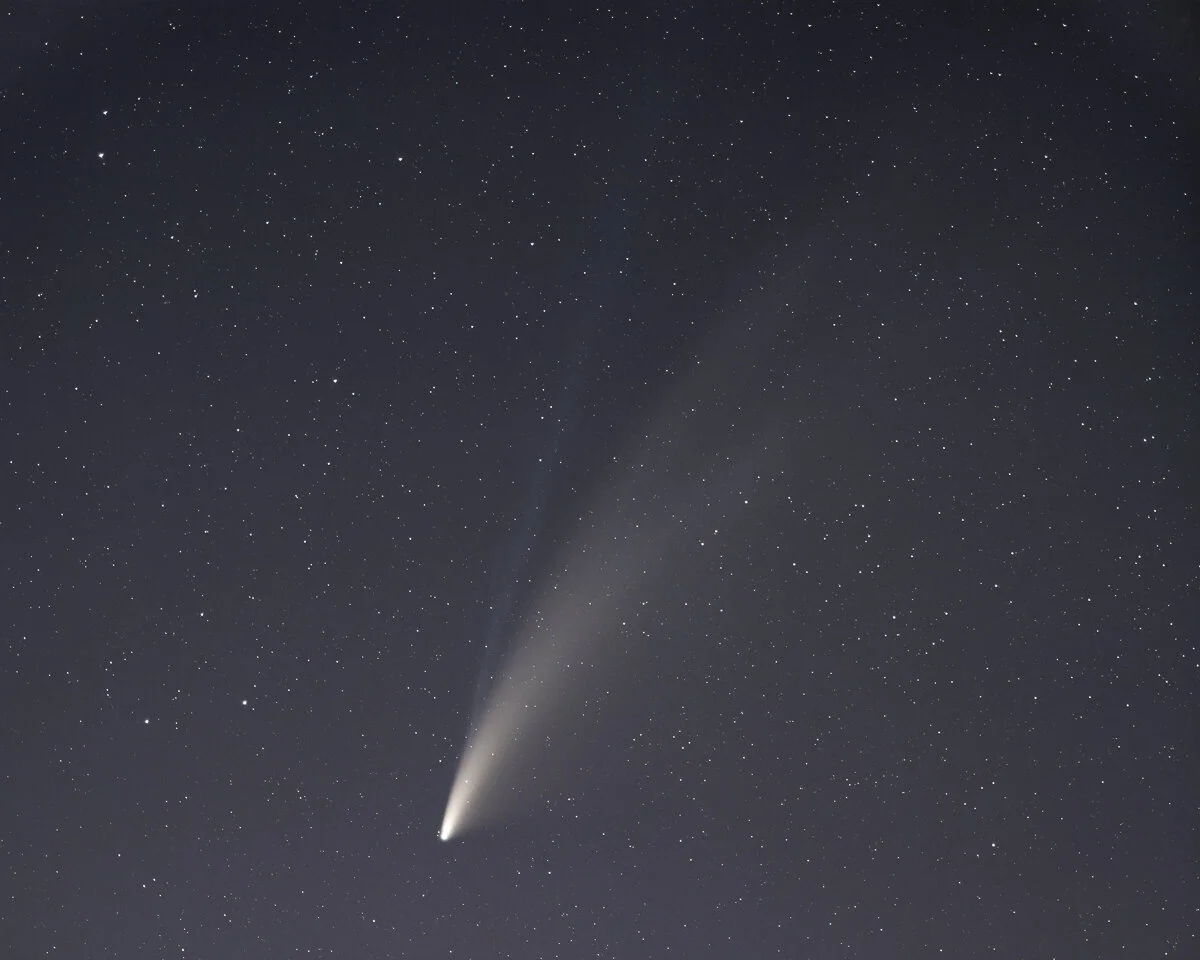"Comet Neowise Portrait."
