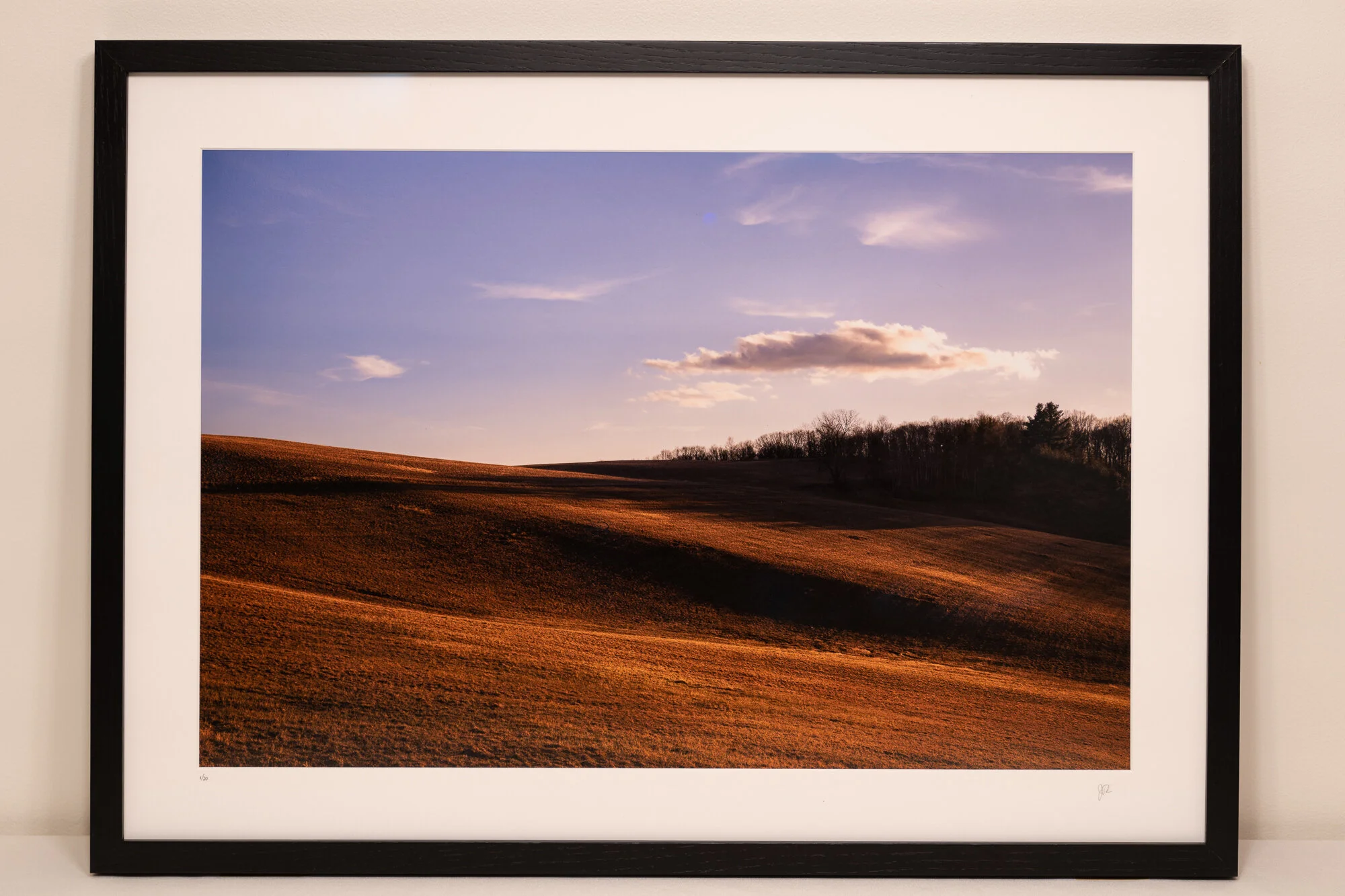 "Autumn Meadow" ed. 2